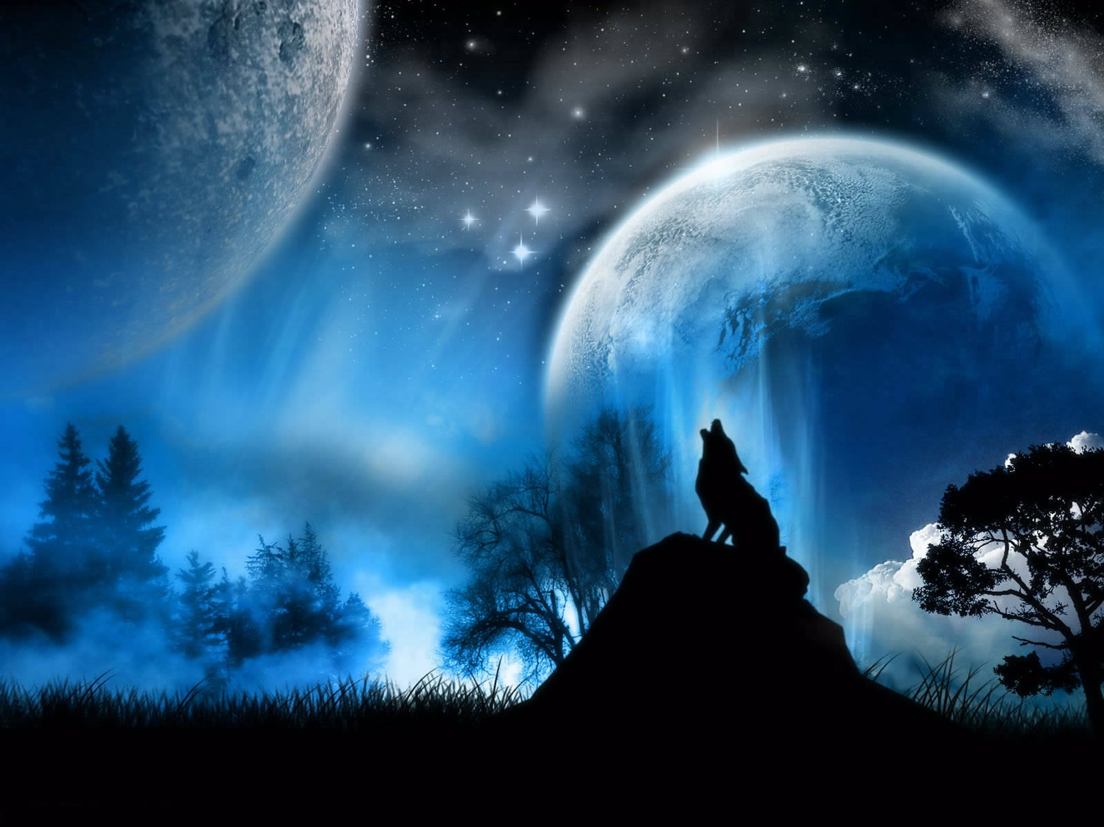 Wolf Laptop Wallpapers