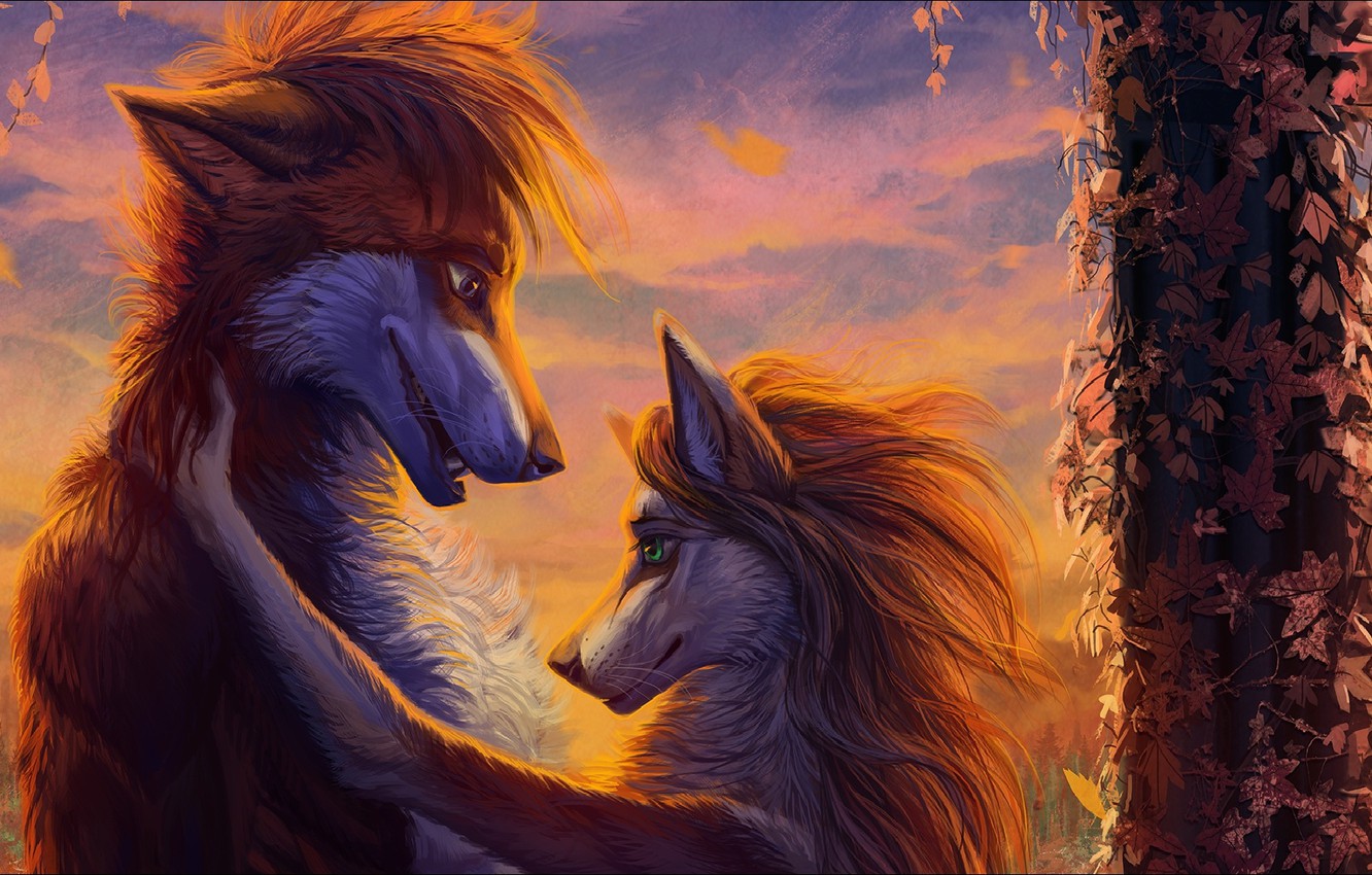 Wolf Love Wallpapers