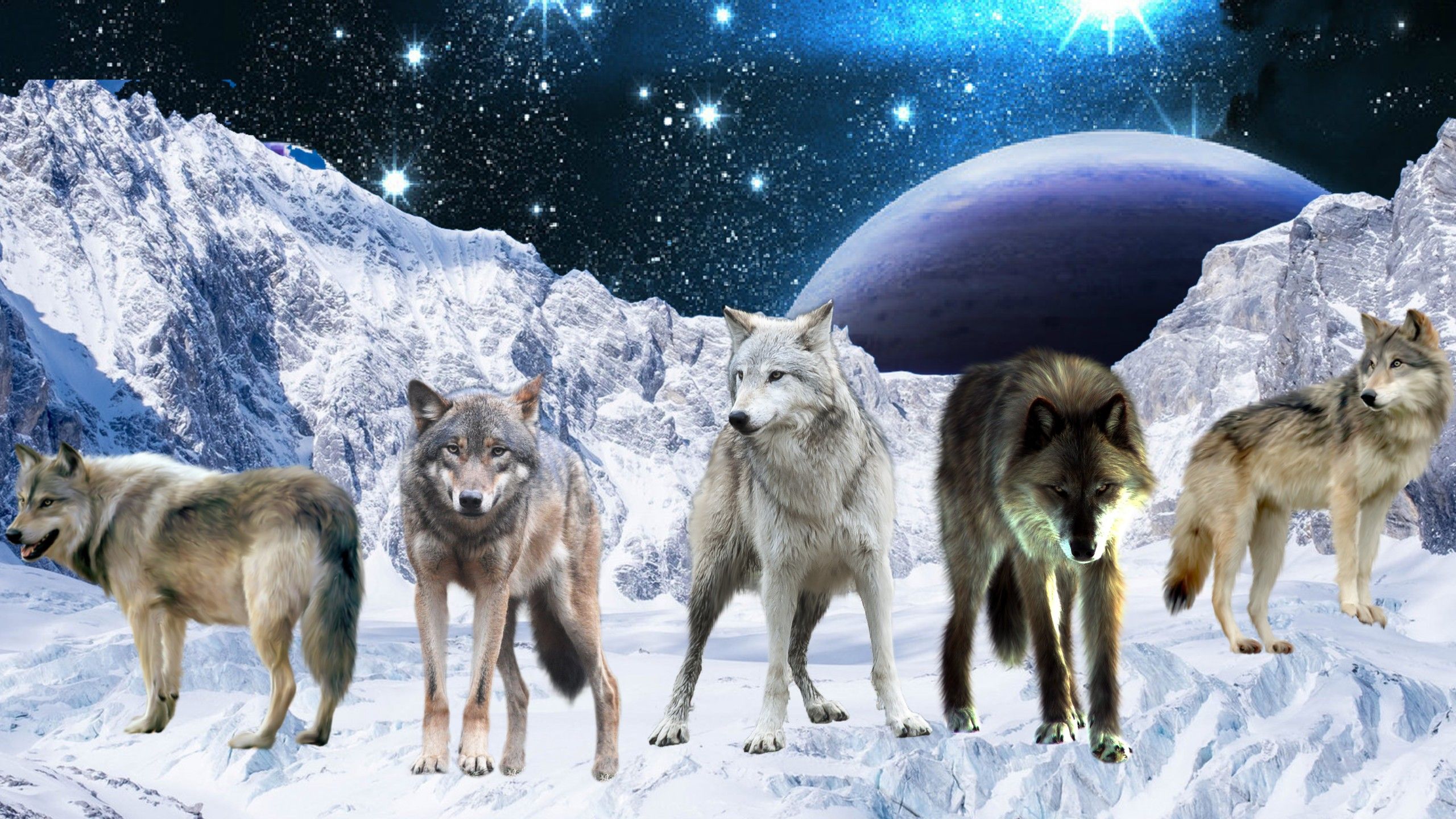 Wolf Pack Wallpapers