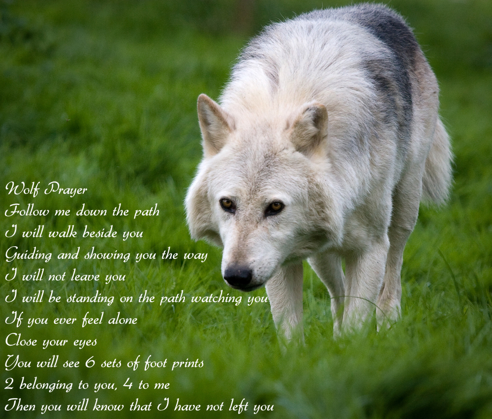 Wolf Quotes Wallpapers