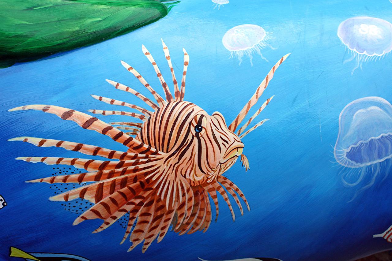 Zebra Fish Wallpapers