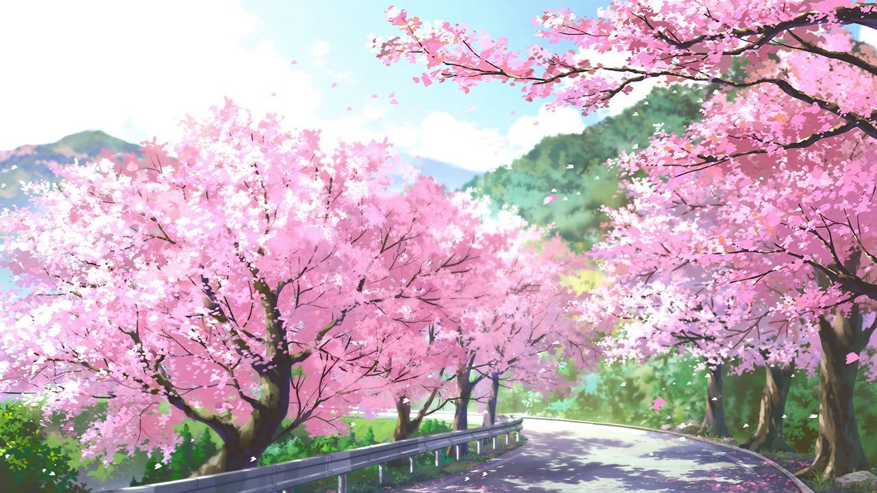 Cherry Blossom Computer Wallpapers