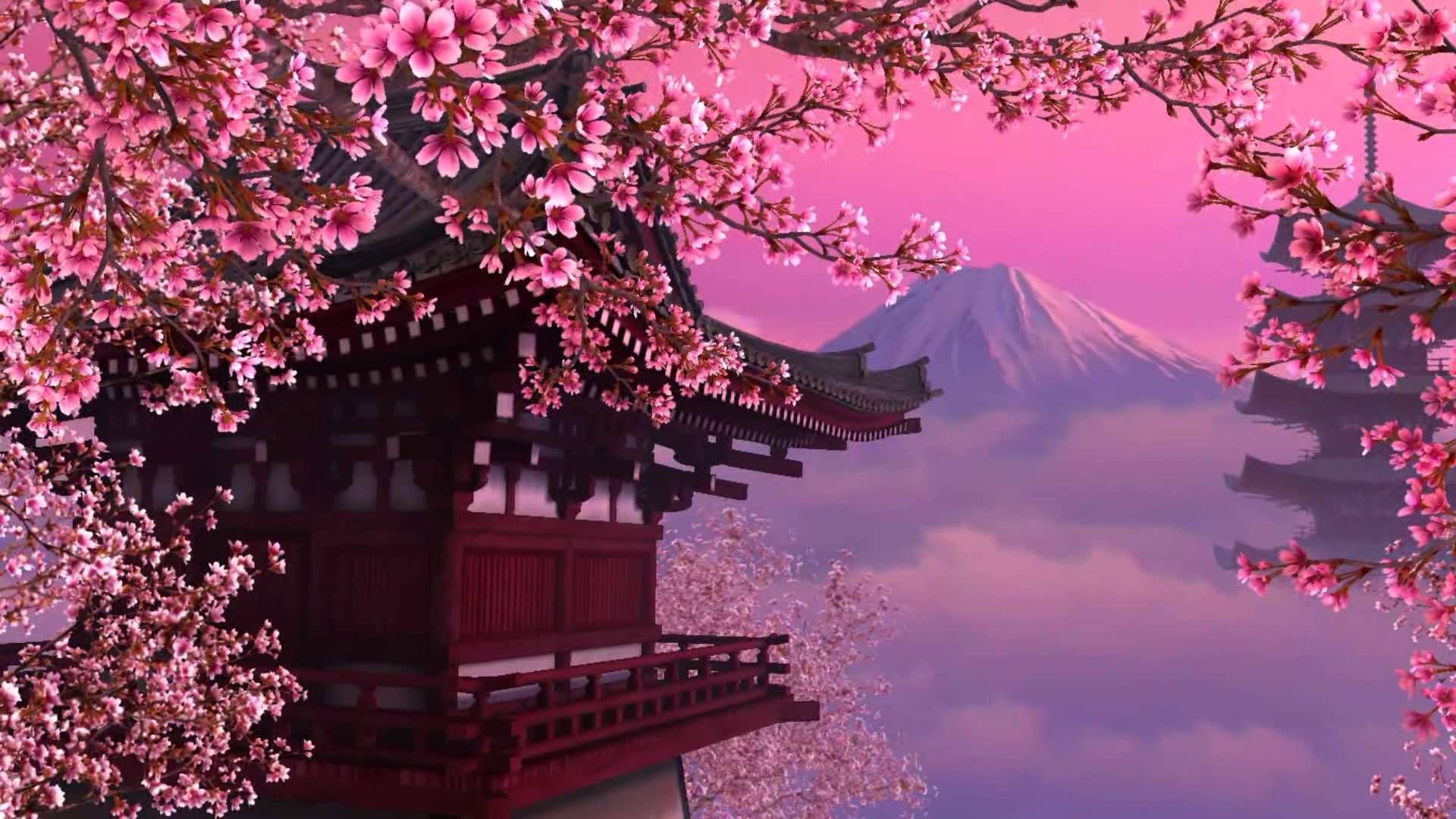 Cherry Blossom Desktop Wallpapers