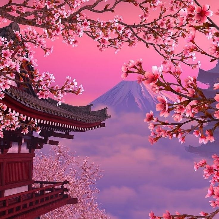 Cherry Blossom Laptop Wallpapers