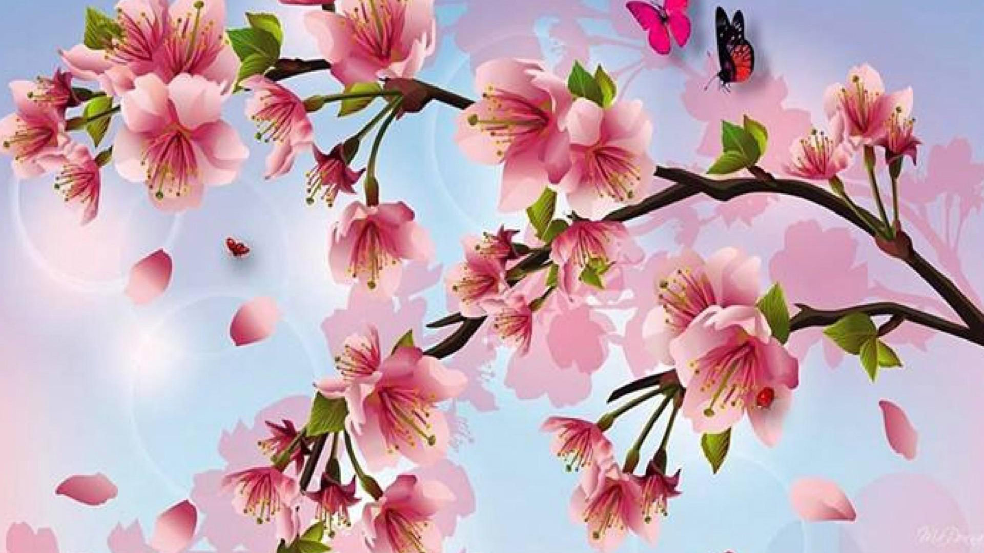 Cherry Blossom Painting Wallpapers