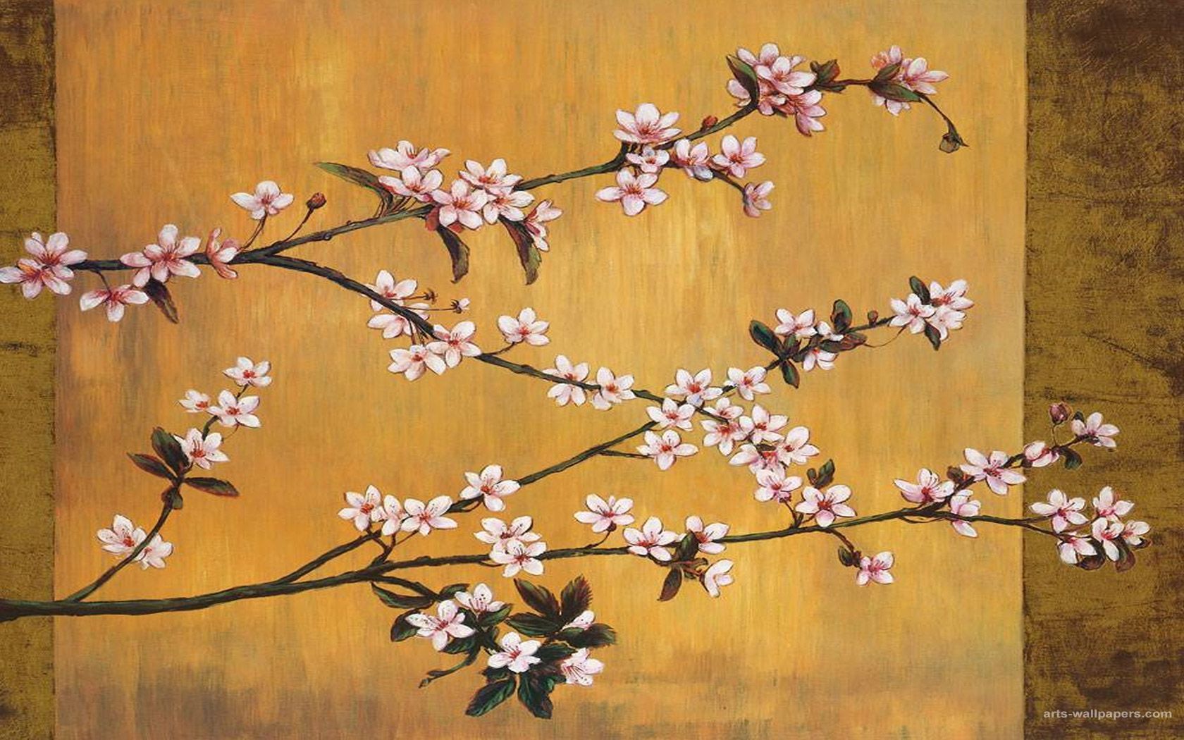 Cherry Blossom Painting Wallpapers