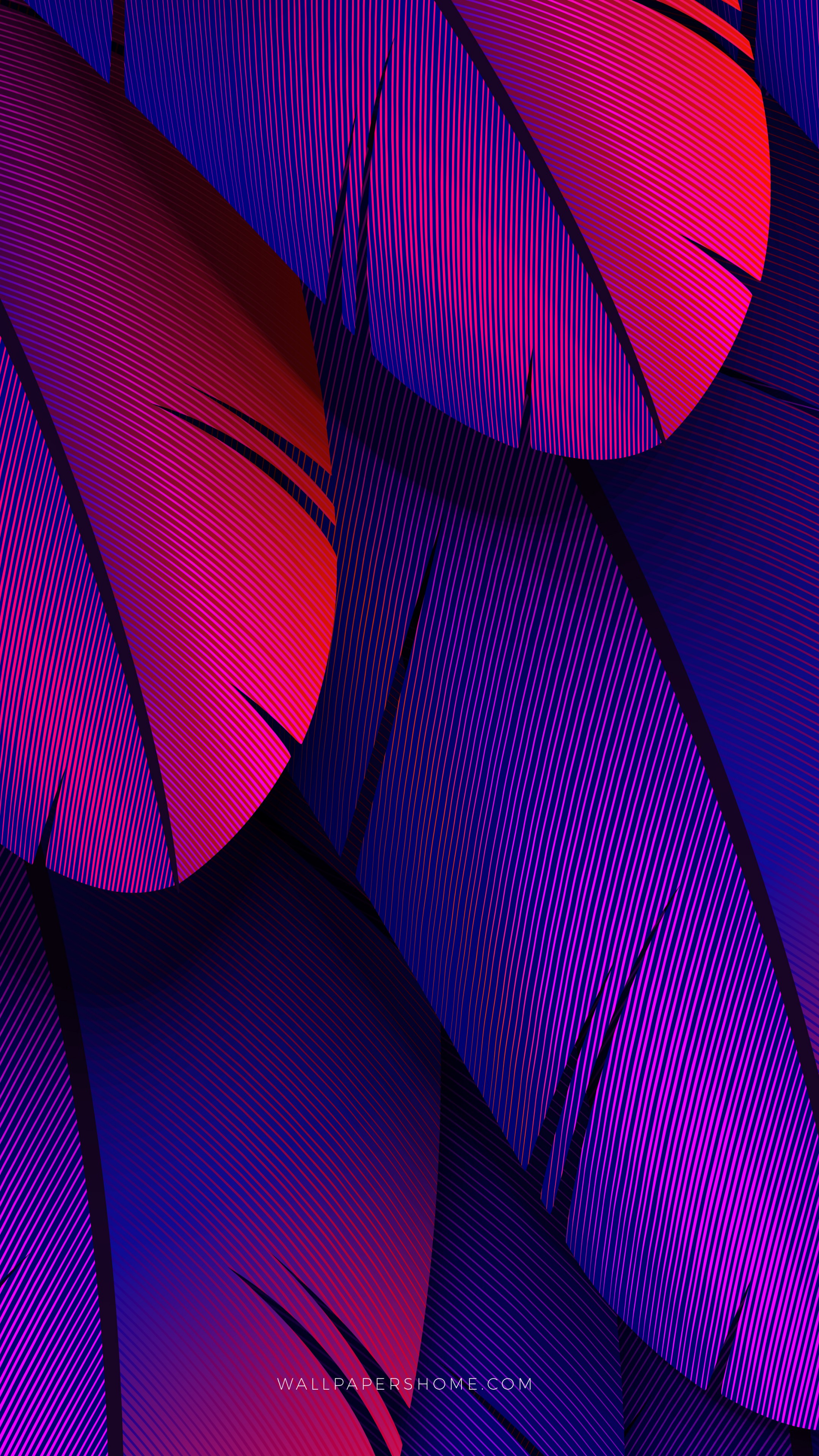 Colorful Wallpapers