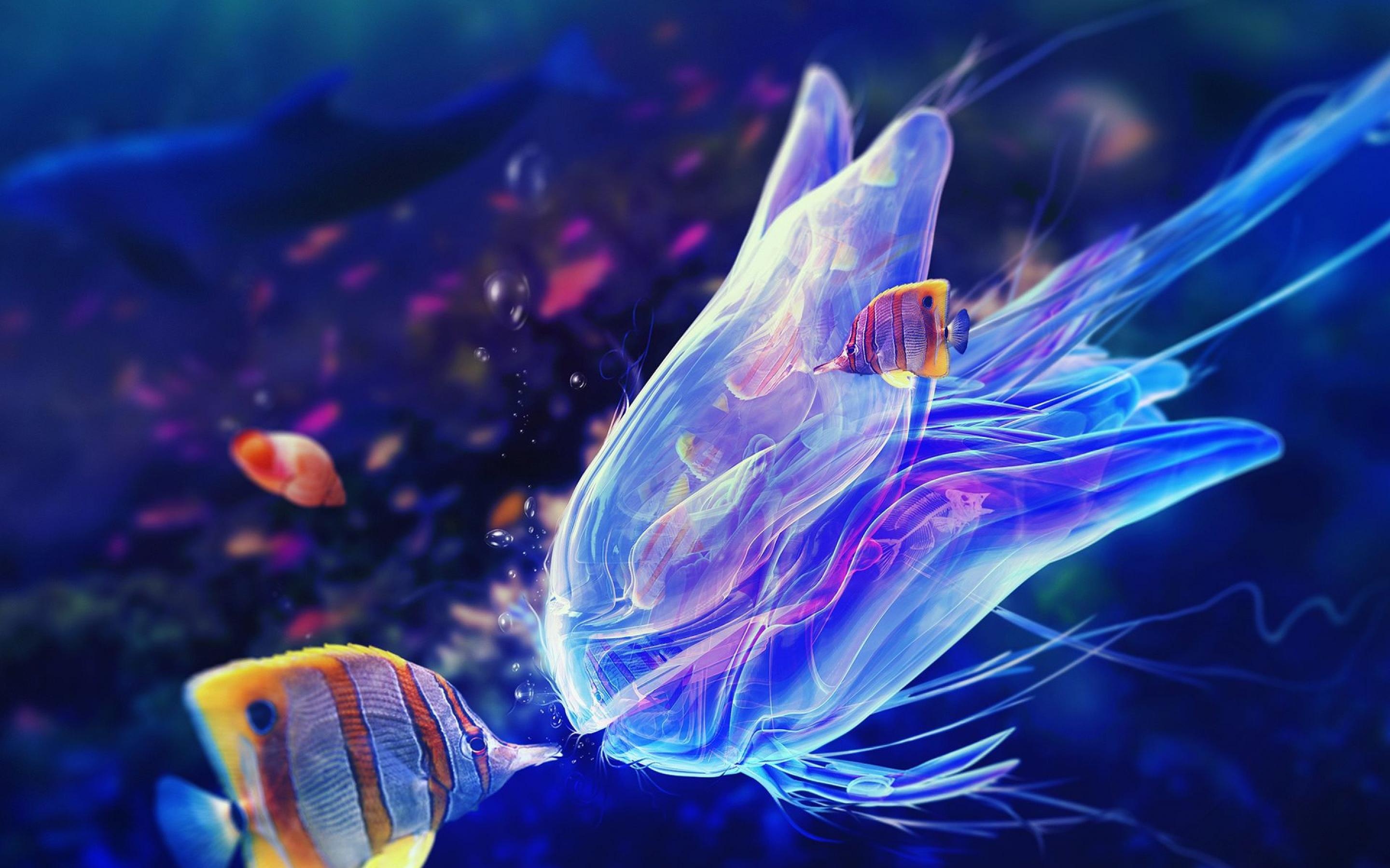 Colorful Jellyfish Wallpapers