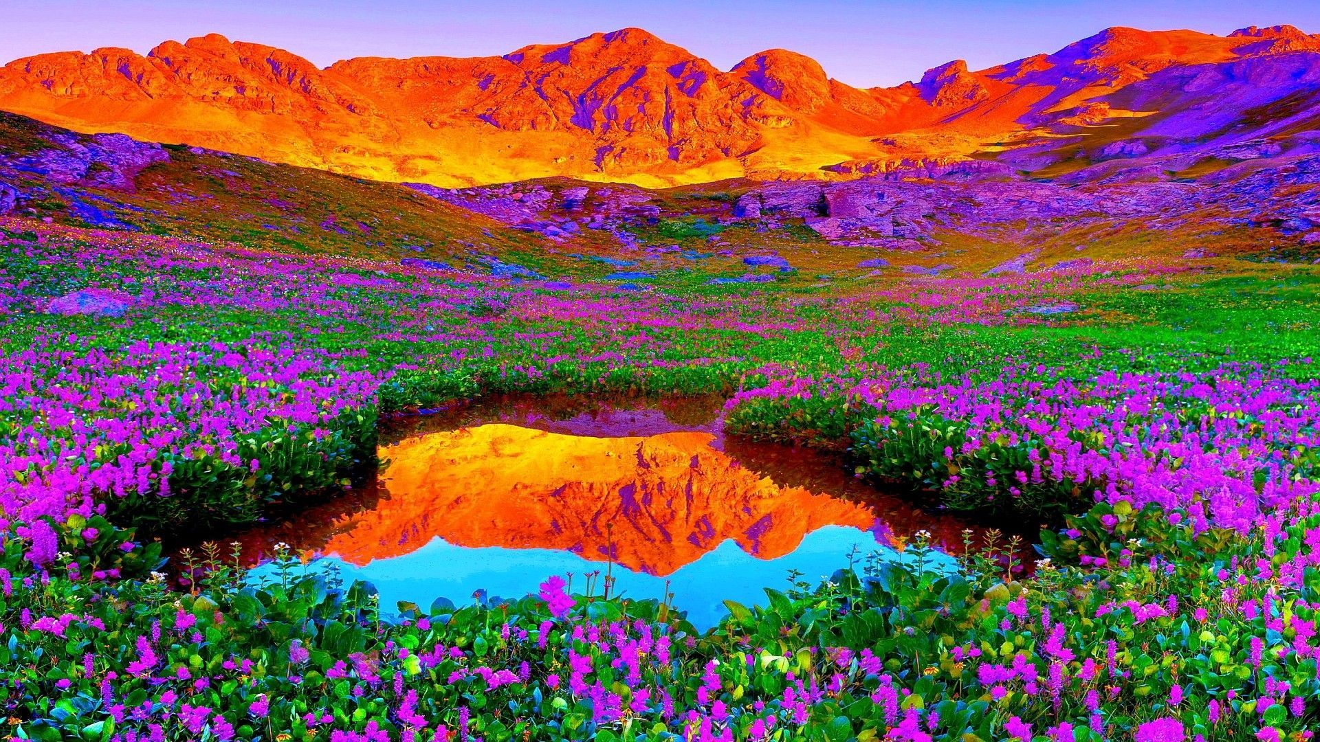 Colorful Nature Wallpapers