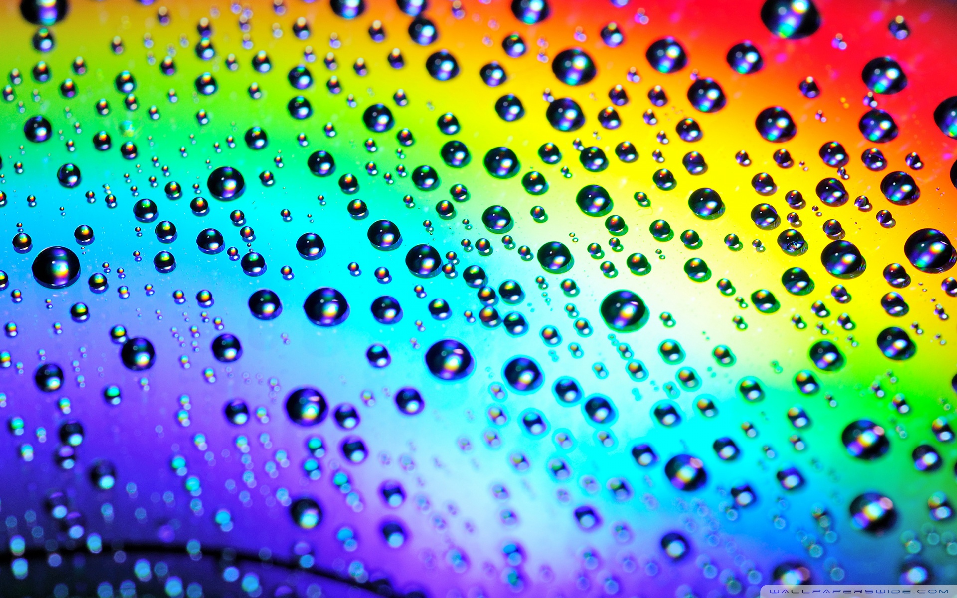 Colorful Raindrop Wallpapers