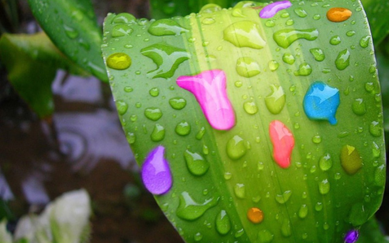 Colorful Raindrop Wallpapers