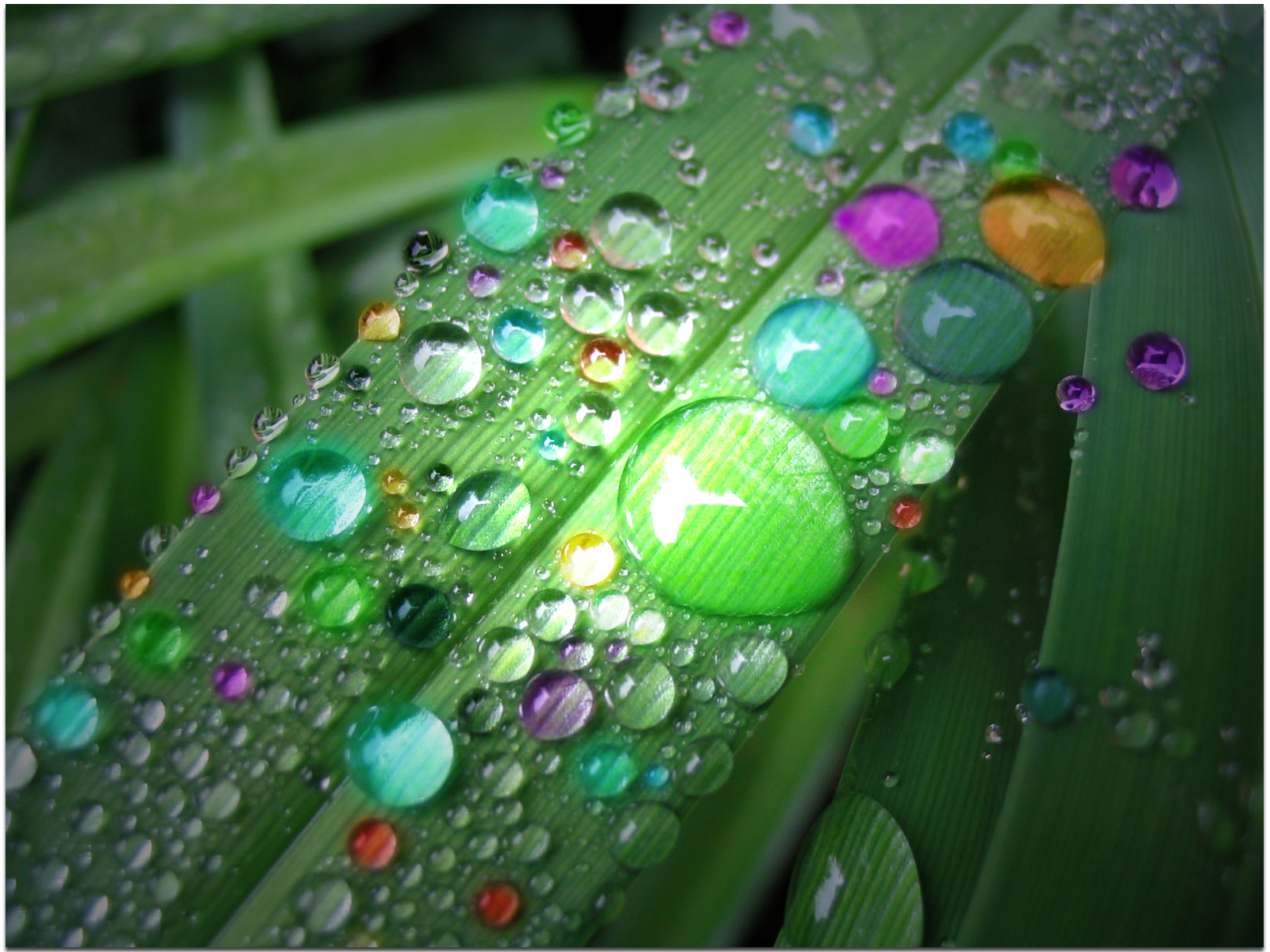 Colorful Raindrop Wallpapers