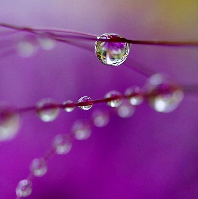 Colorful Raindrop Wallpapers