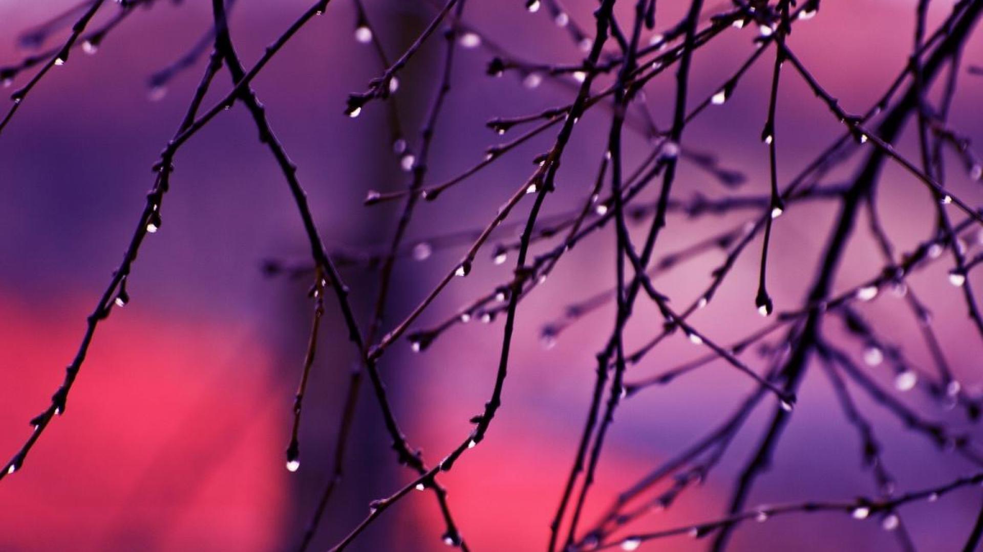 Colorful Raindrop Wallpapers