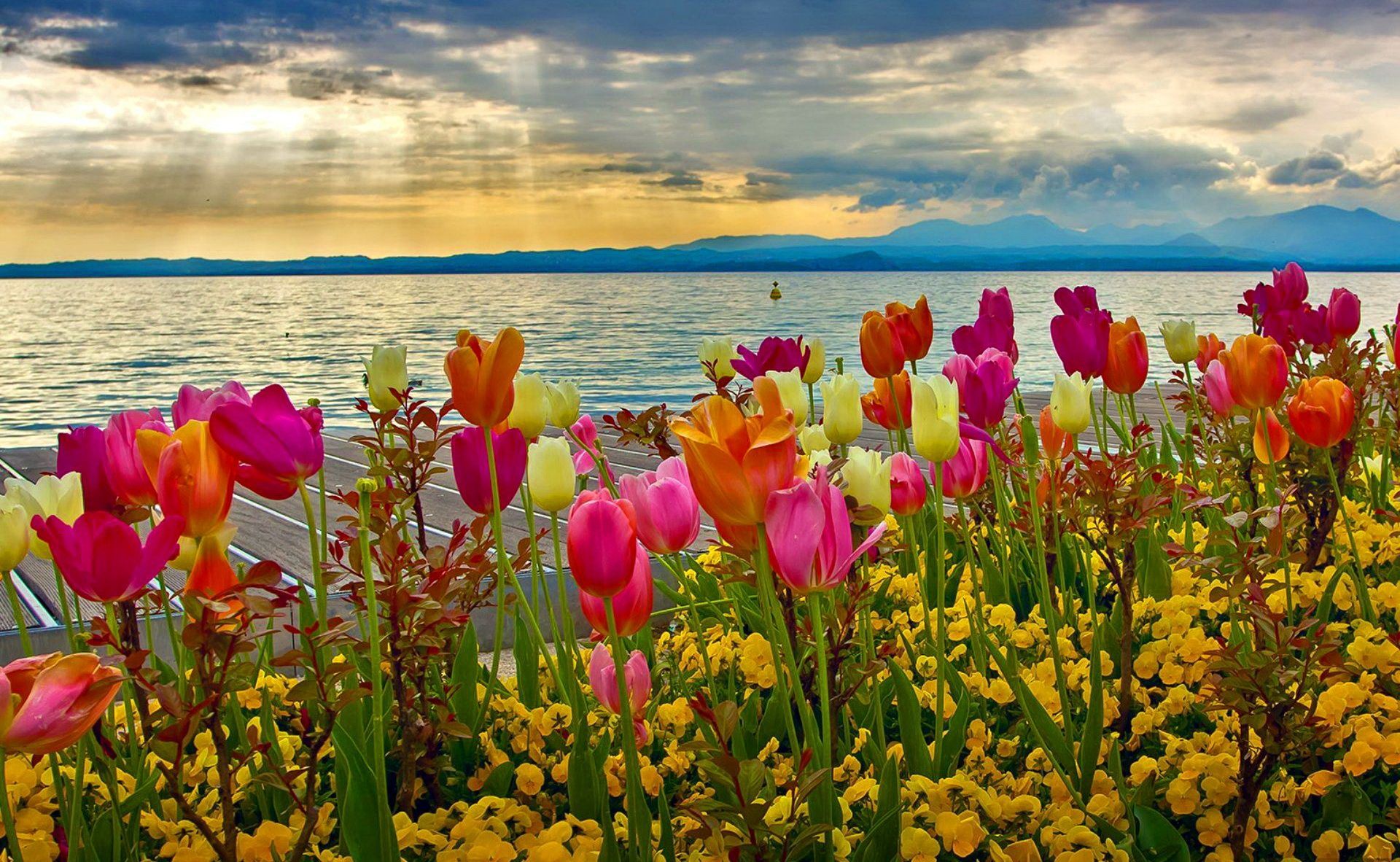 Colorful Spring Computer Wallpapers