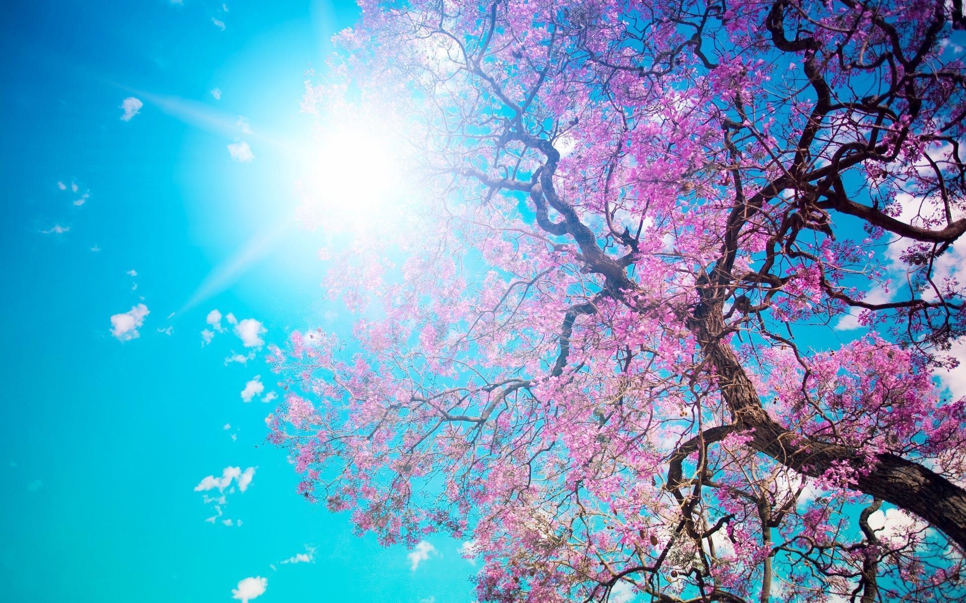 Colorful Spring Computer Wallpapers