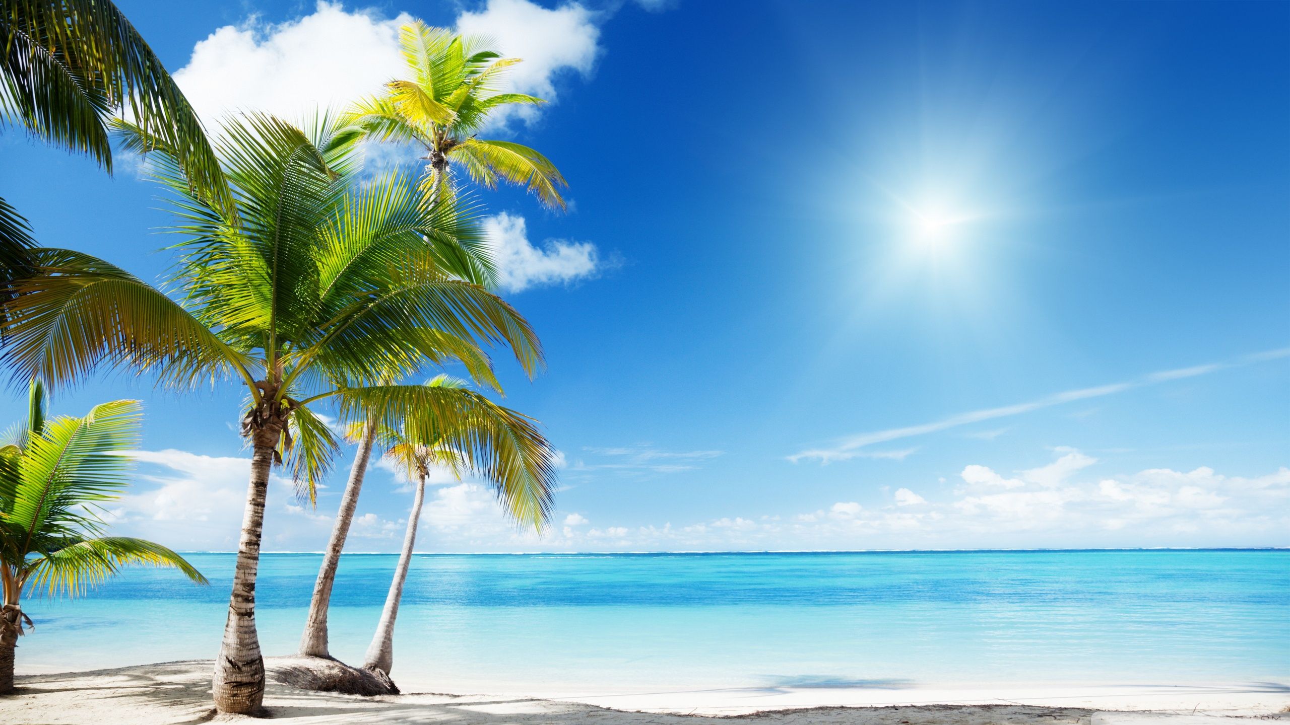 Colorful Tropical Beaches Desktop Wallpapers