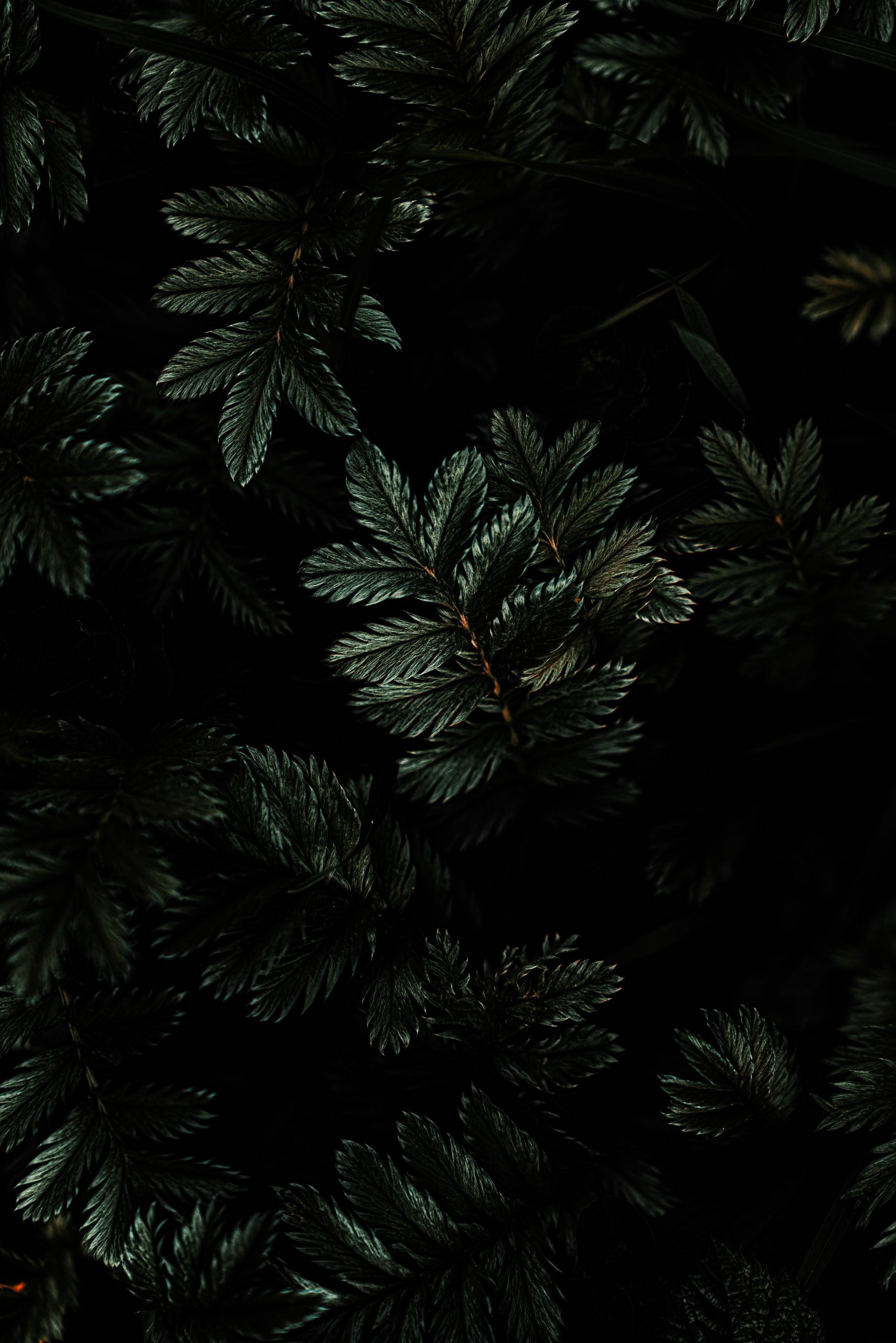 Dark Aesthetic Iphone Wallpapers