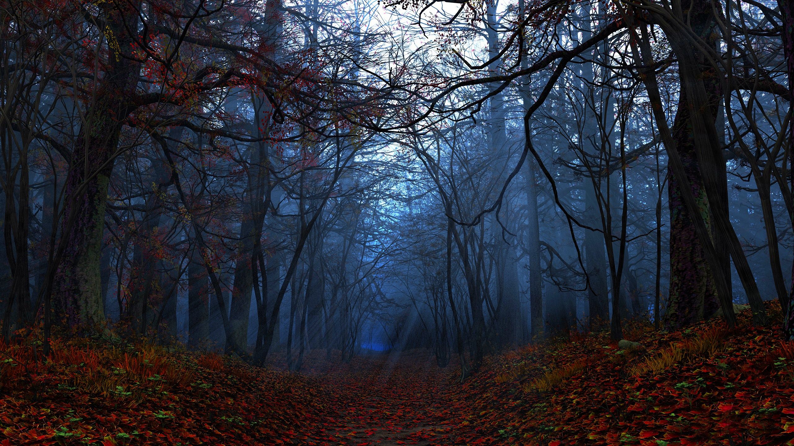 Dark Autumn Wallpapers