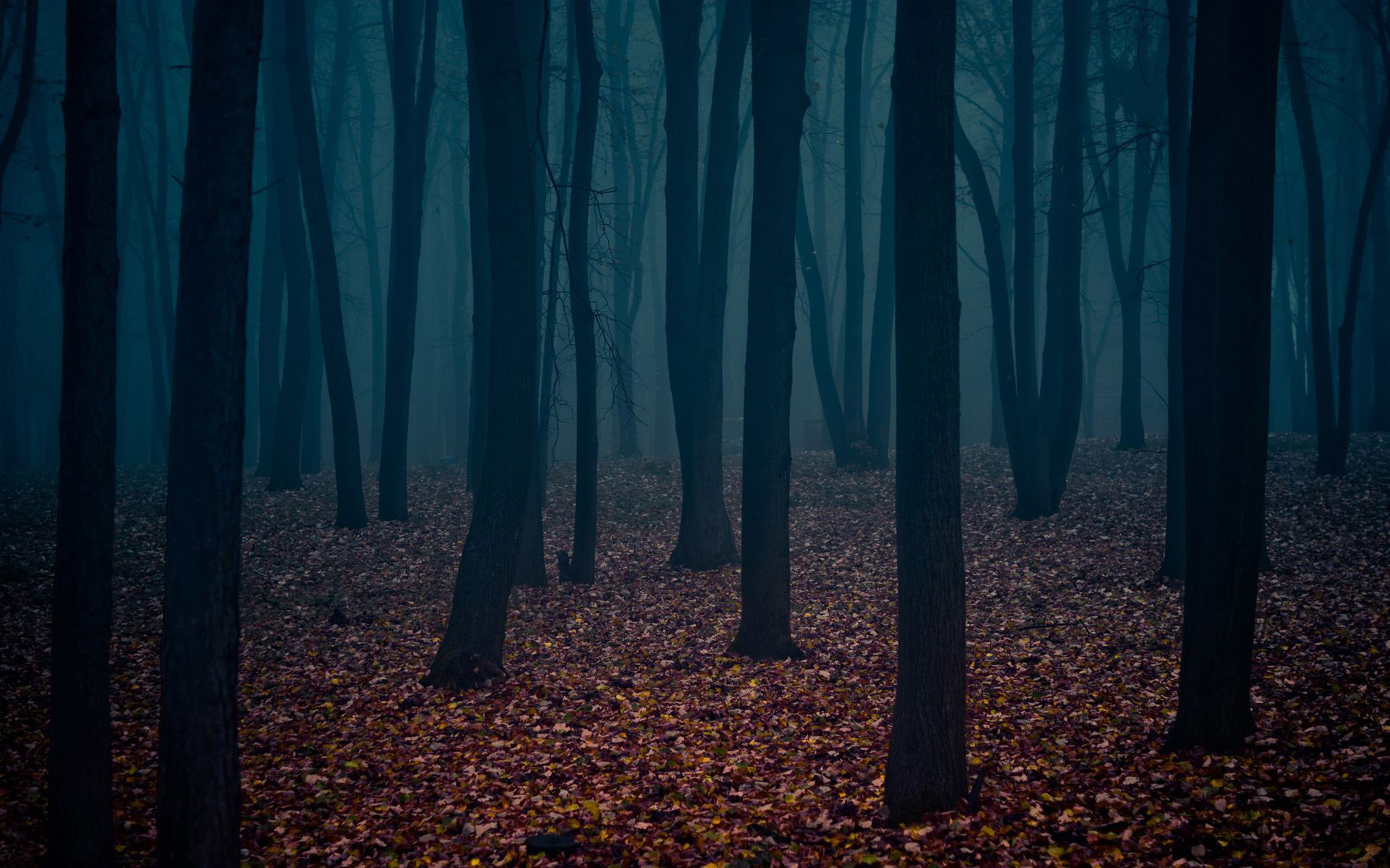 Dark Autumn Wallpapers