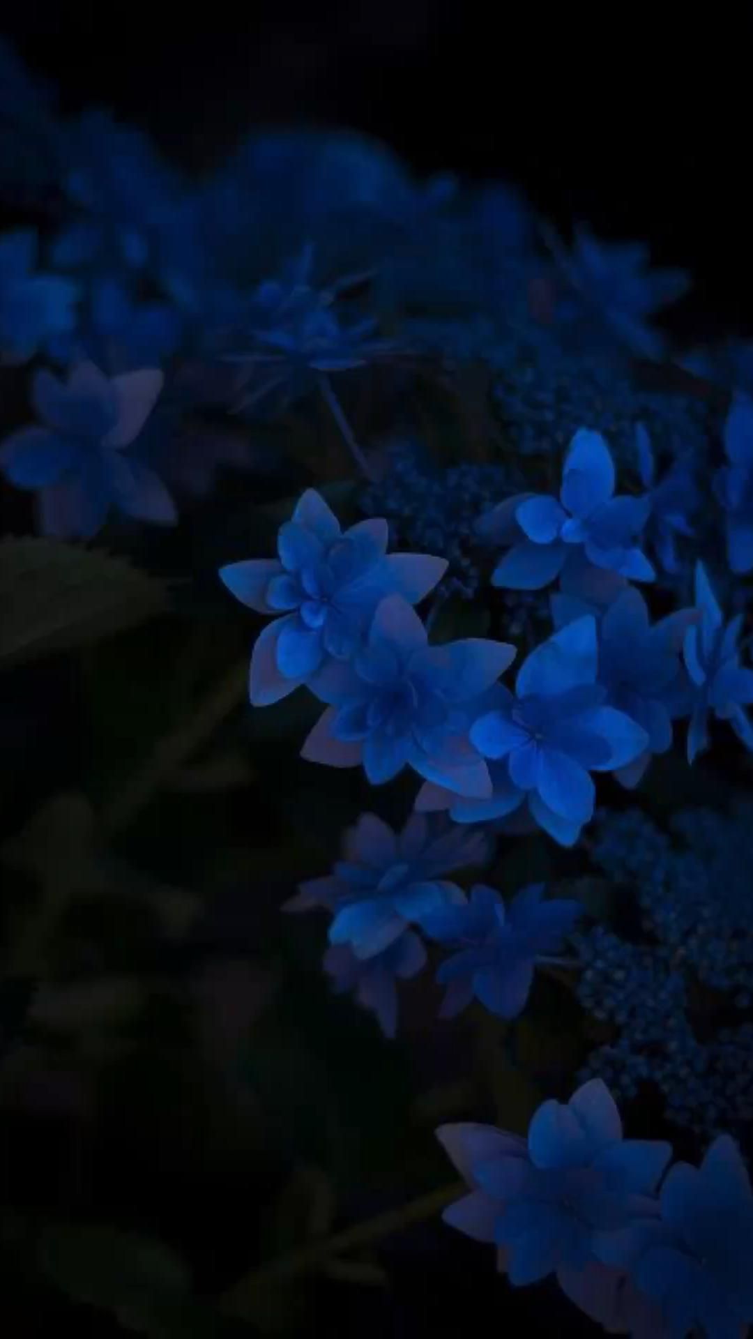 Dark Blue Flower Aesthetic Wallpapers