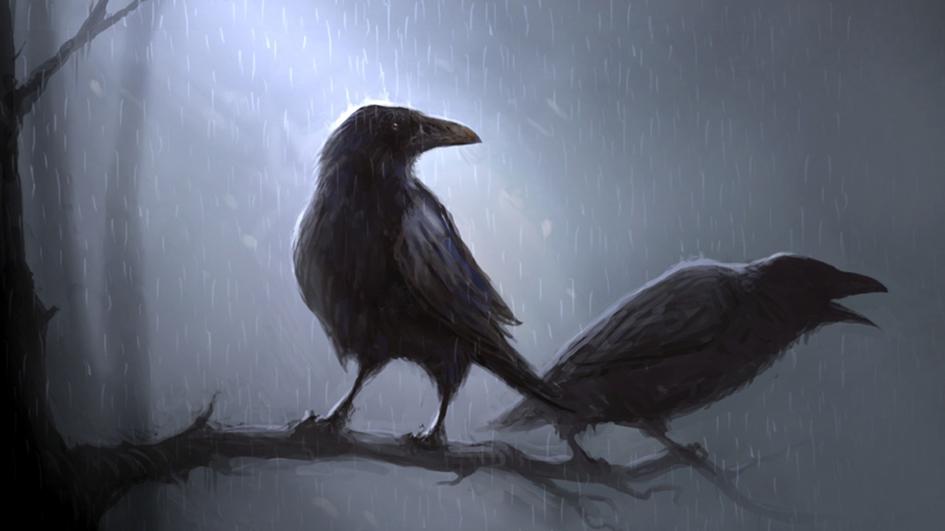 Dark Crow Wallpapers