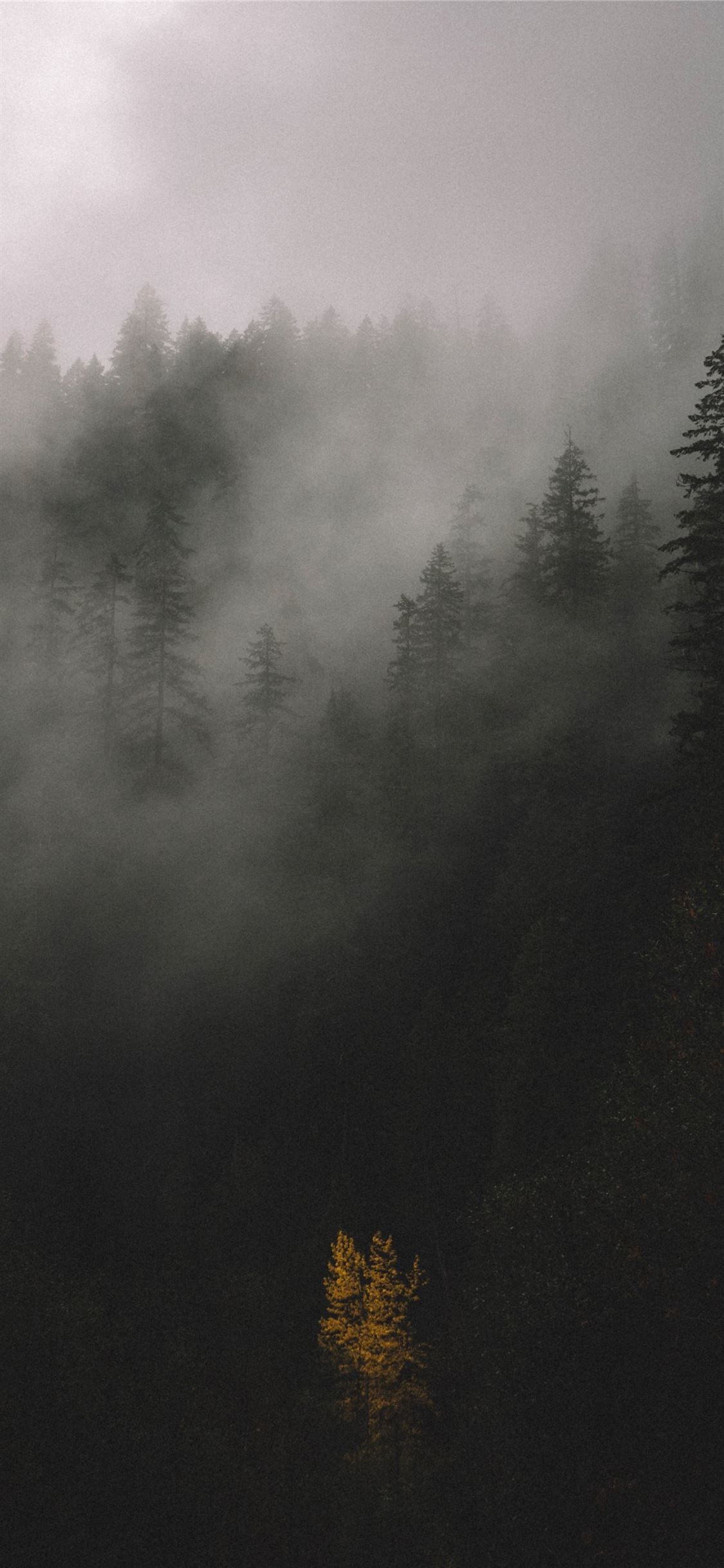 Dark Fog Wallpapers