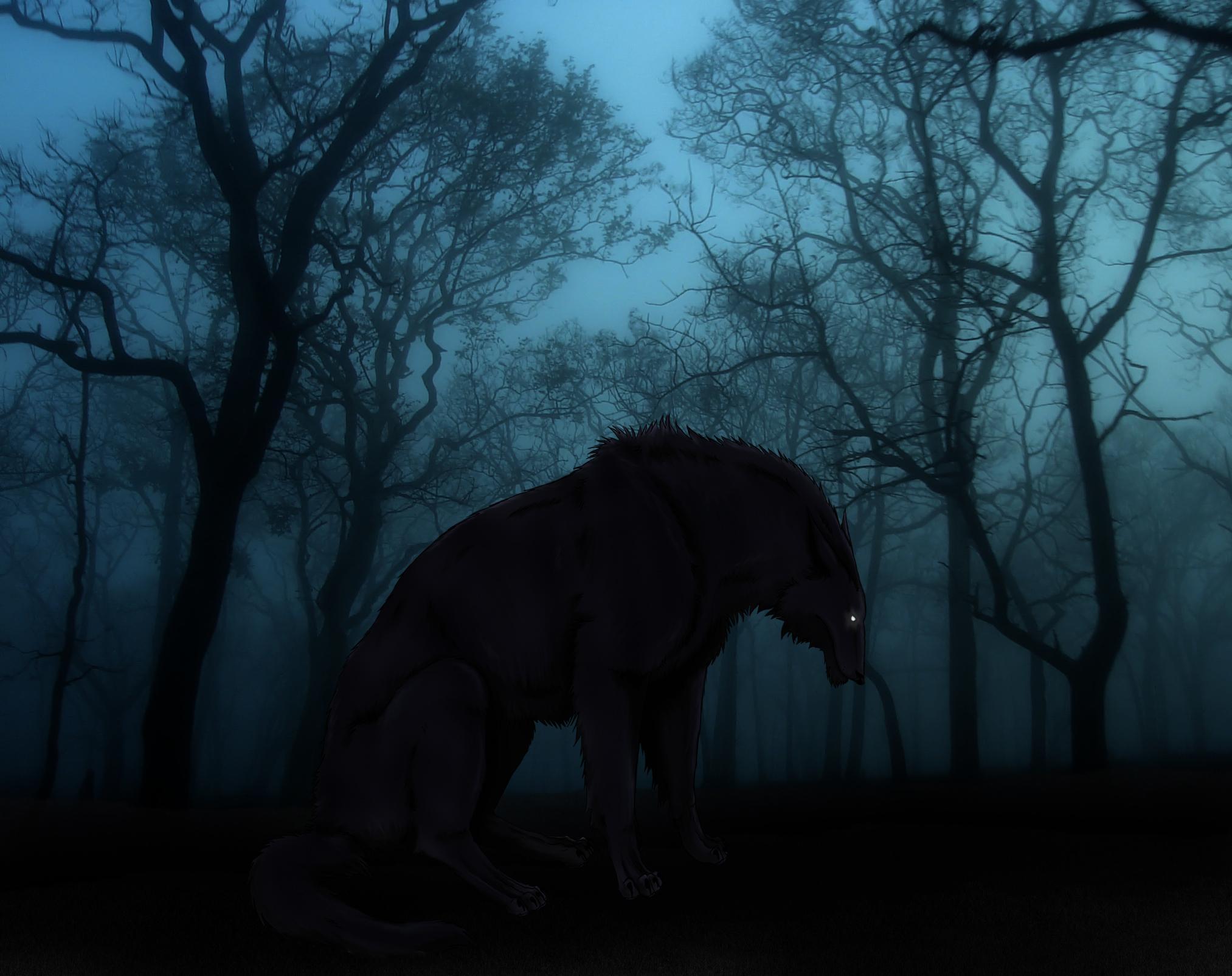 Dark Forest Wolf Wallpapers