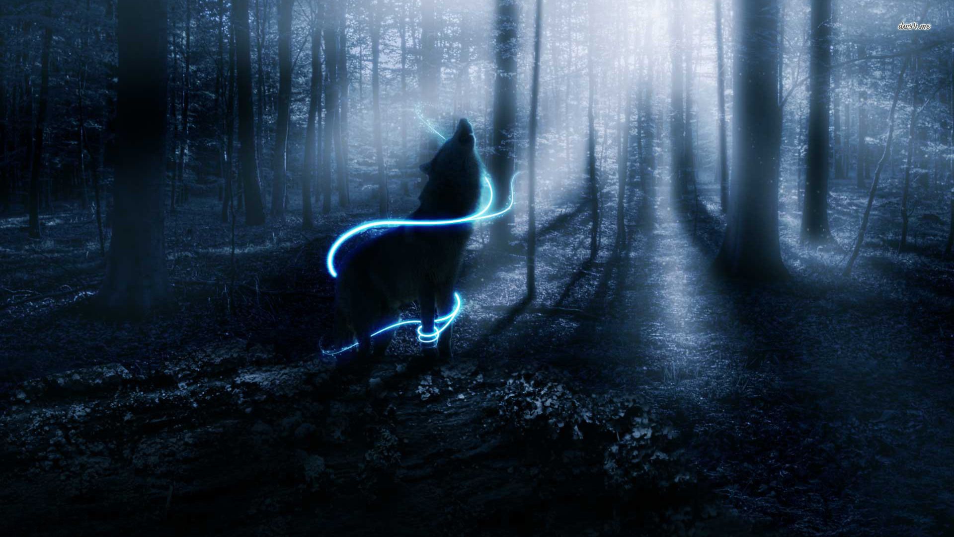 Dark Forest Wolf Wallpapers