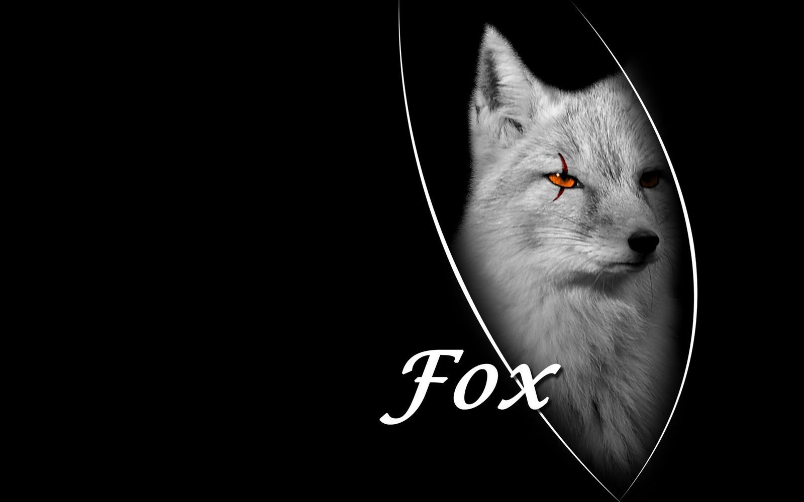 Dark Fox Wallpapers