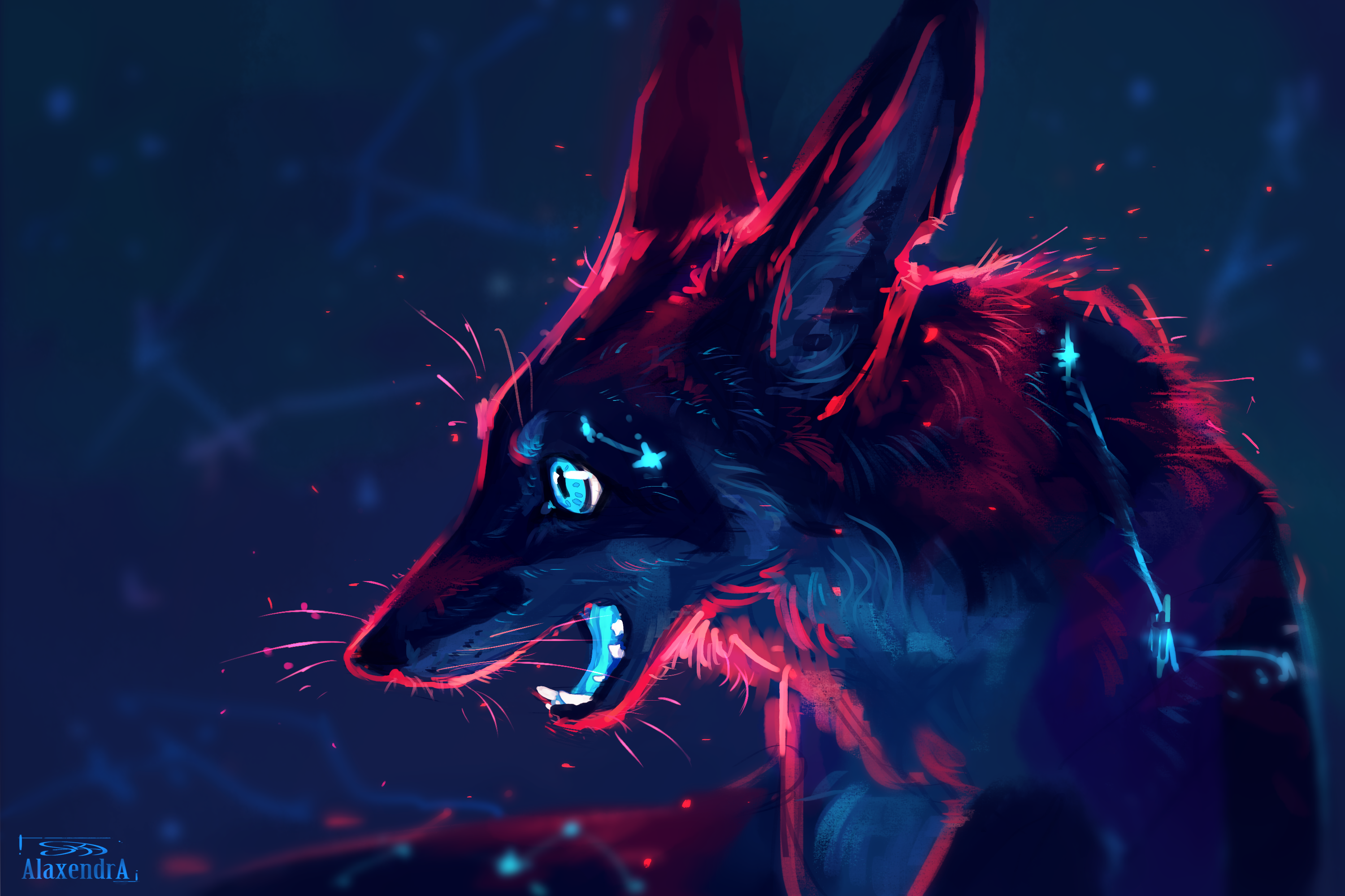 Dark Fox Wallpapers