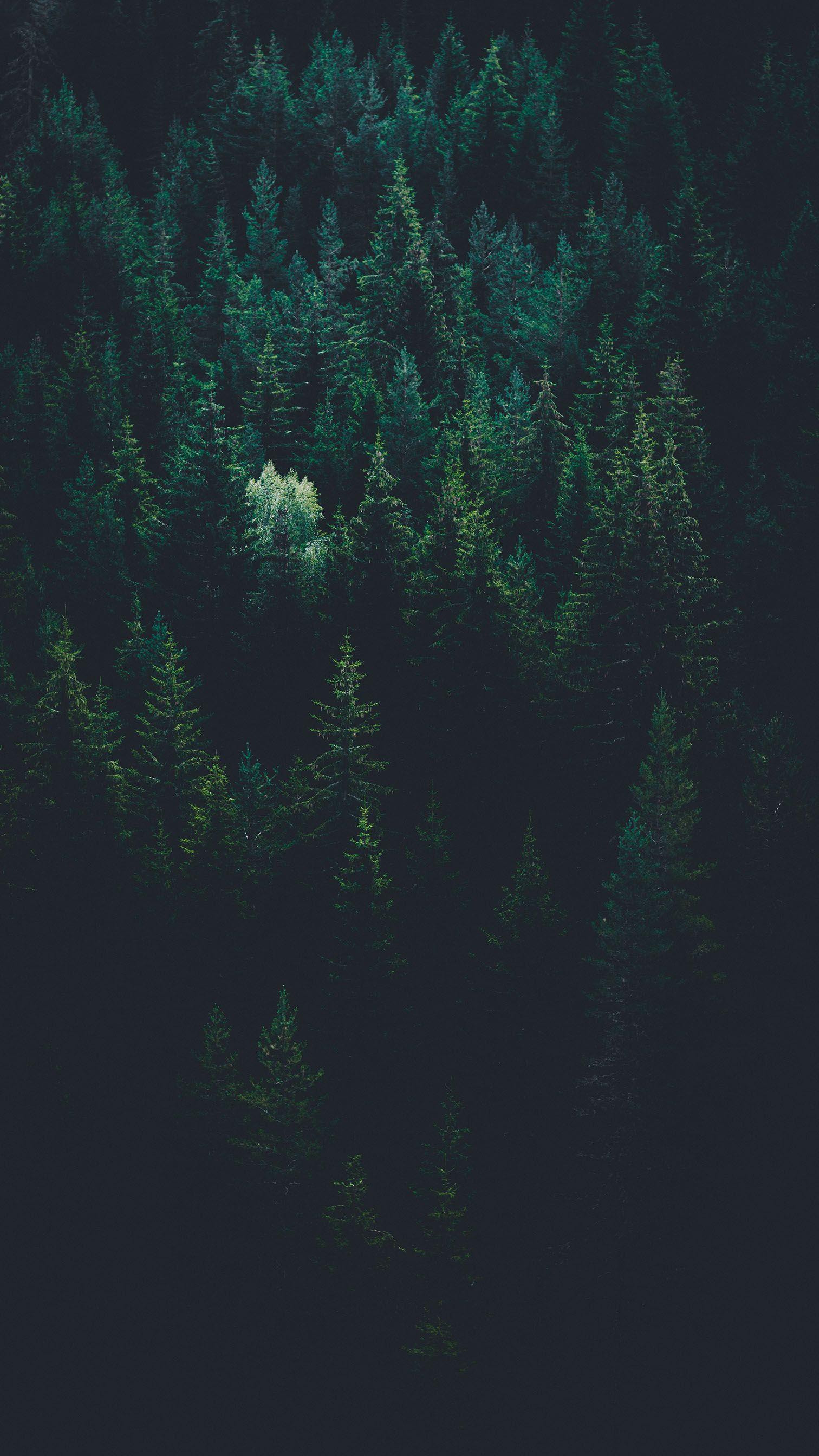 Dark Green Wallpapers