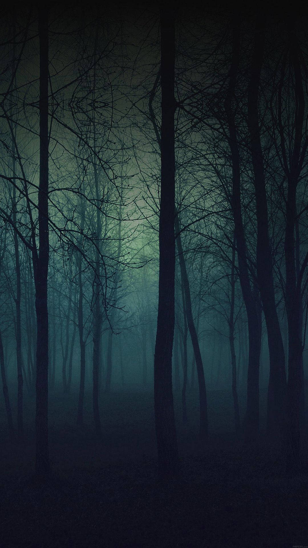 Dark Green Forest Wallpapers