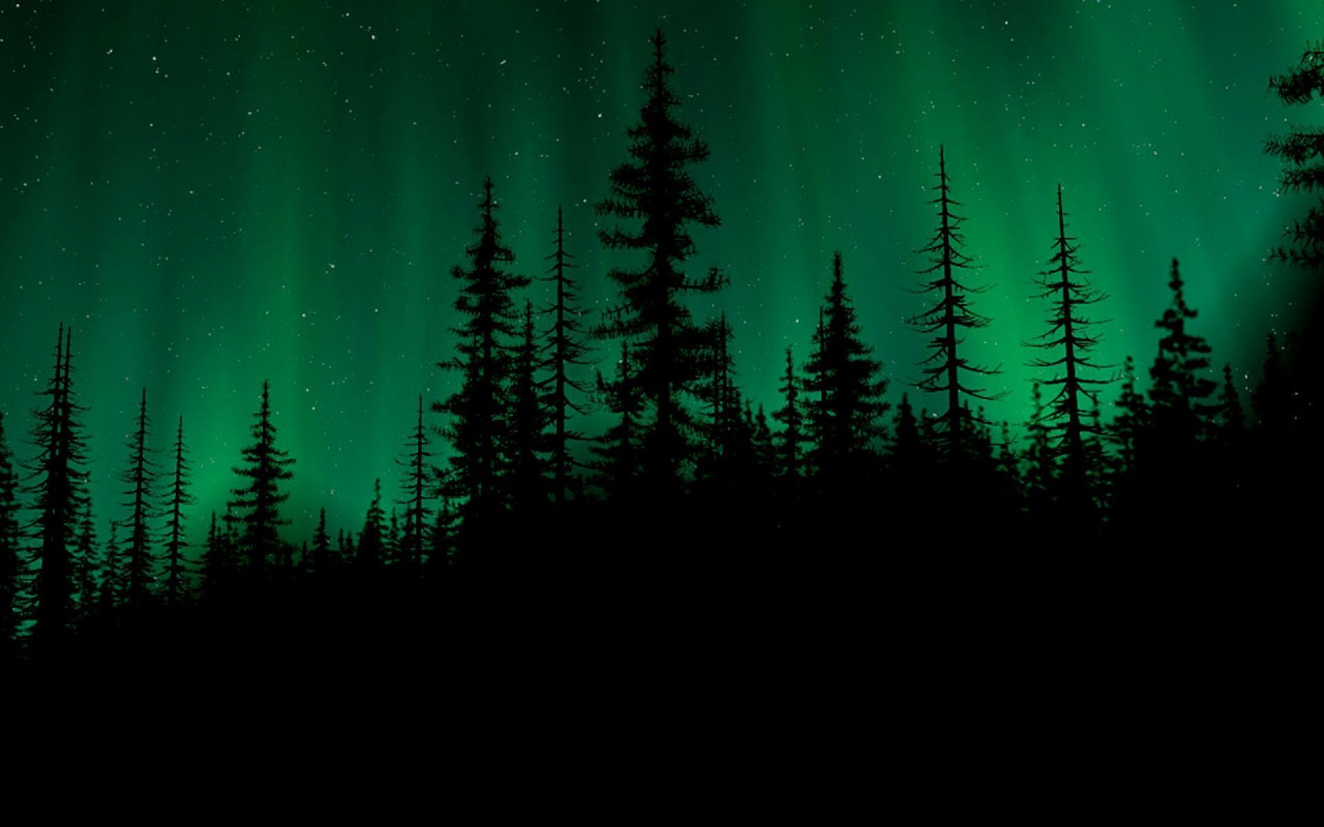 Dark Green Forest Wallpapers