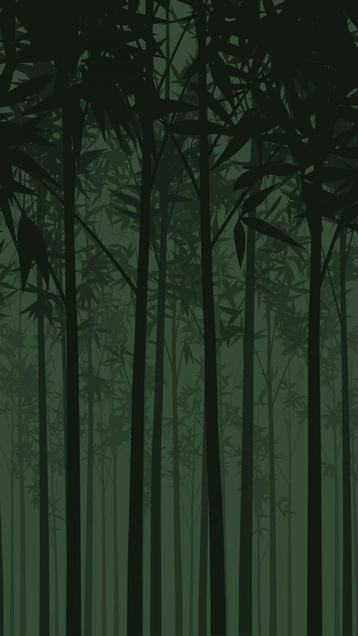 Dark Green Forest Wallpapers