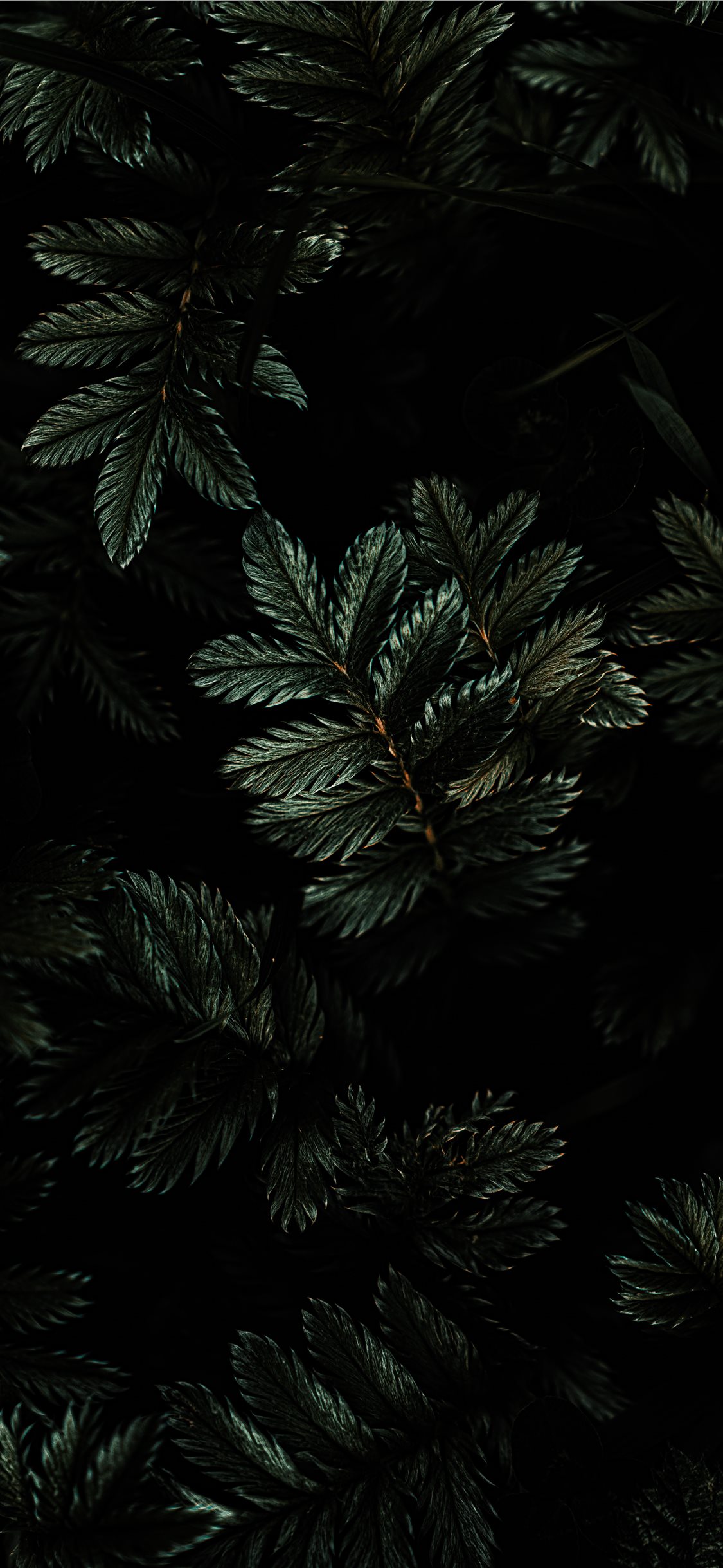 Dark Moody Wallpapers