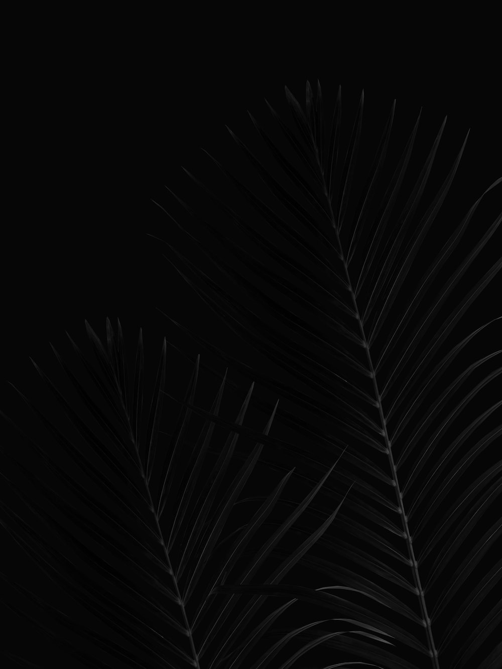 Dark Oled Wallpapers