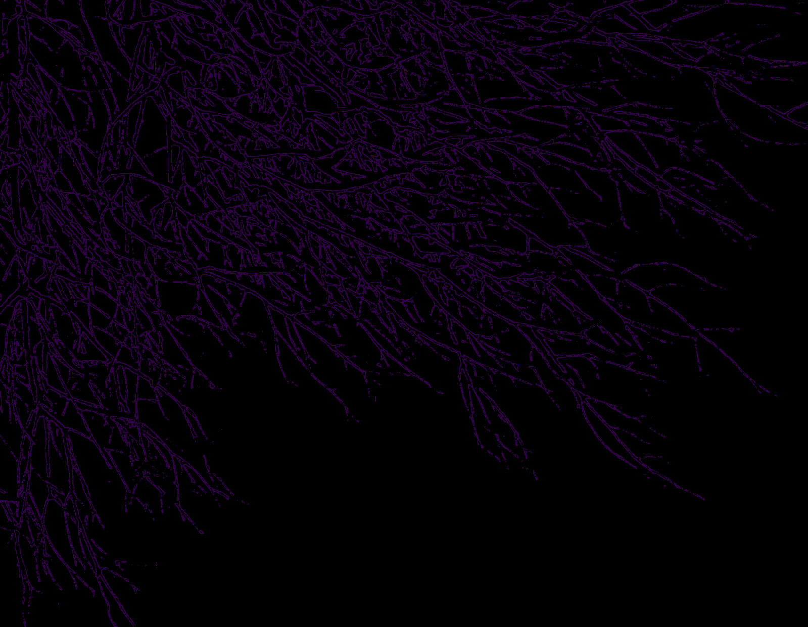 Dark Purple And Black Wallpapers