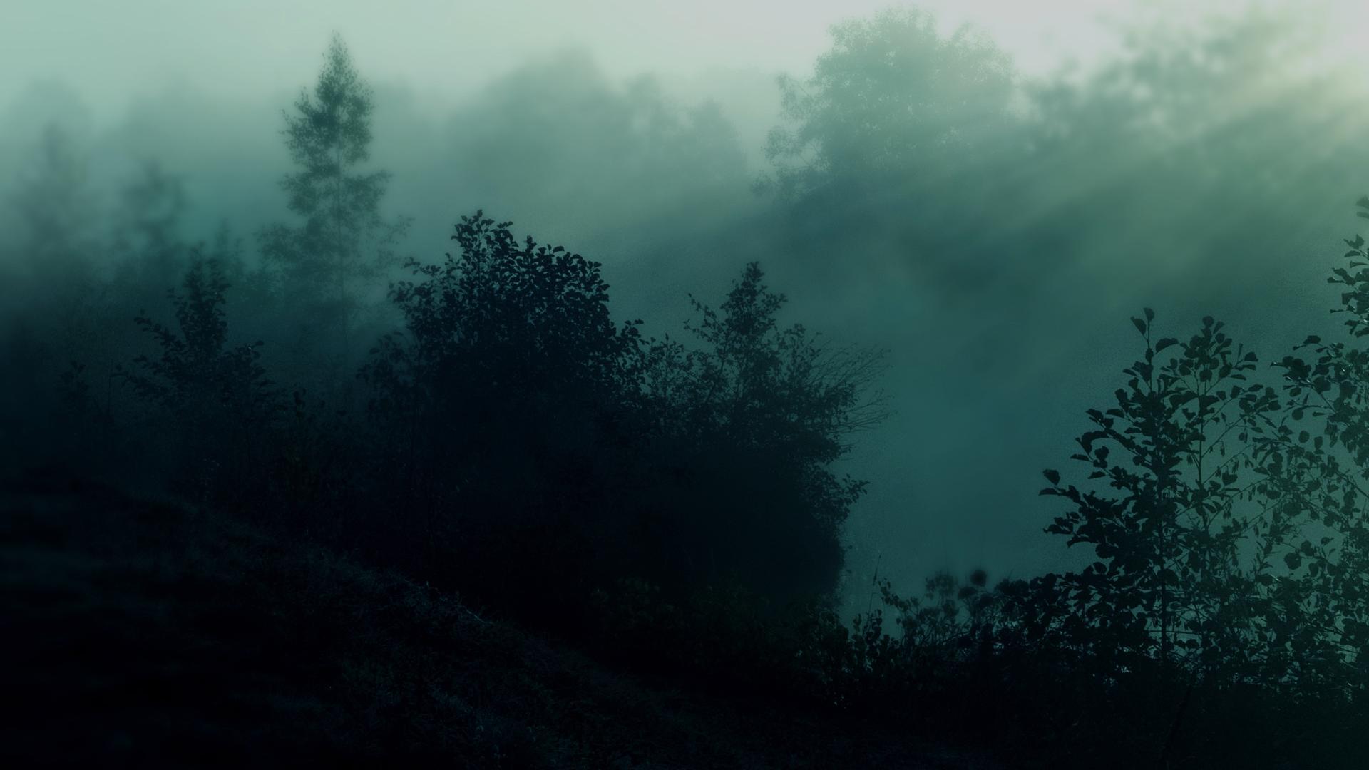 Dark Rainy Forest Wallpapers