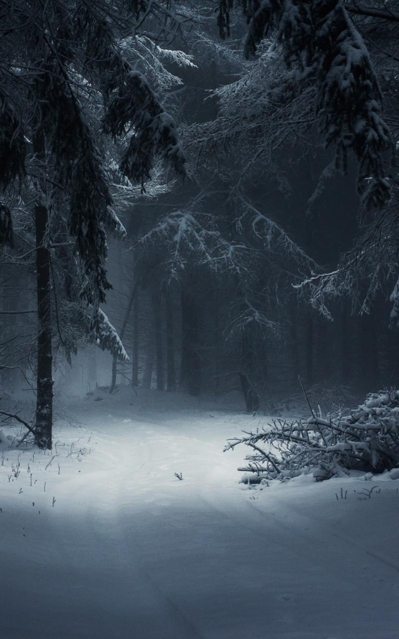 Dark Winter Wallpapers