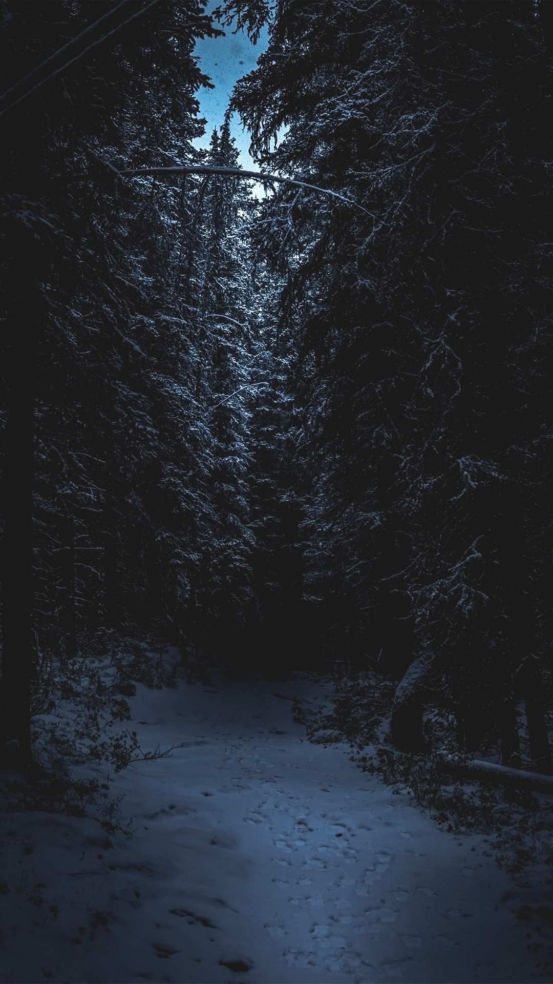 Dark Winter Wallpapers