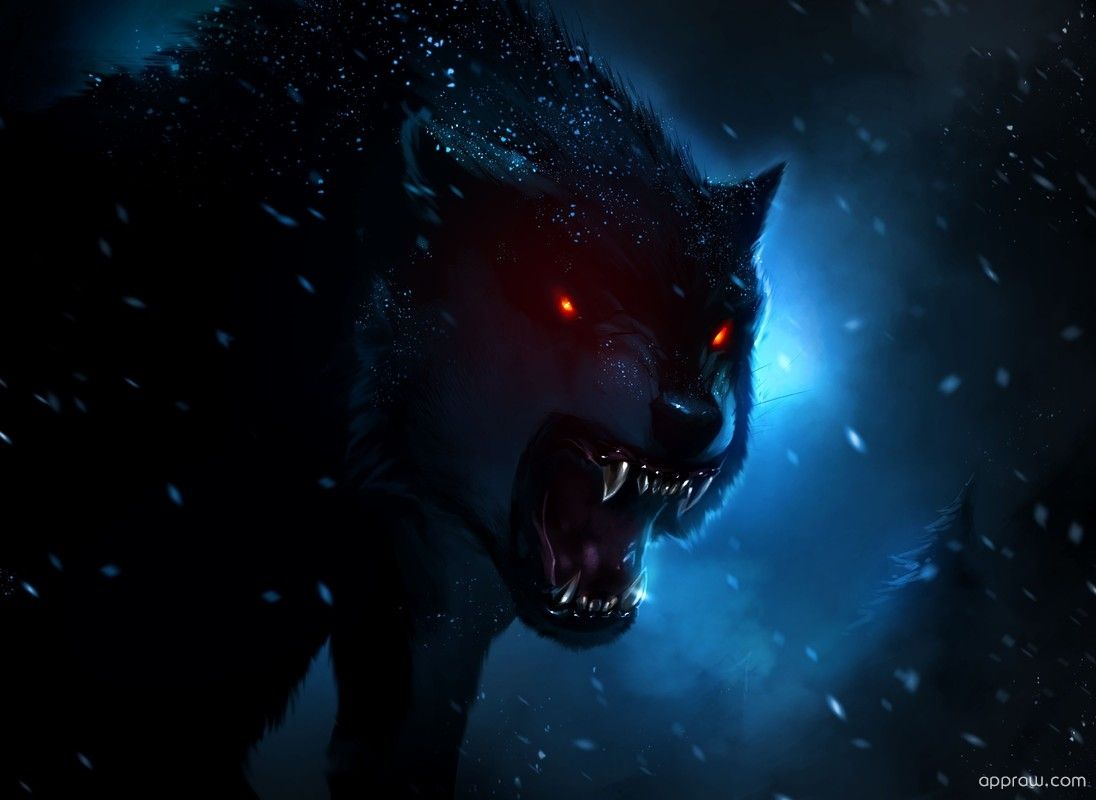 Dark Wolf Wallpapers