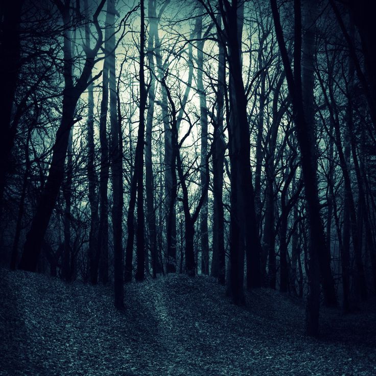 Dark Wood Wallpapers