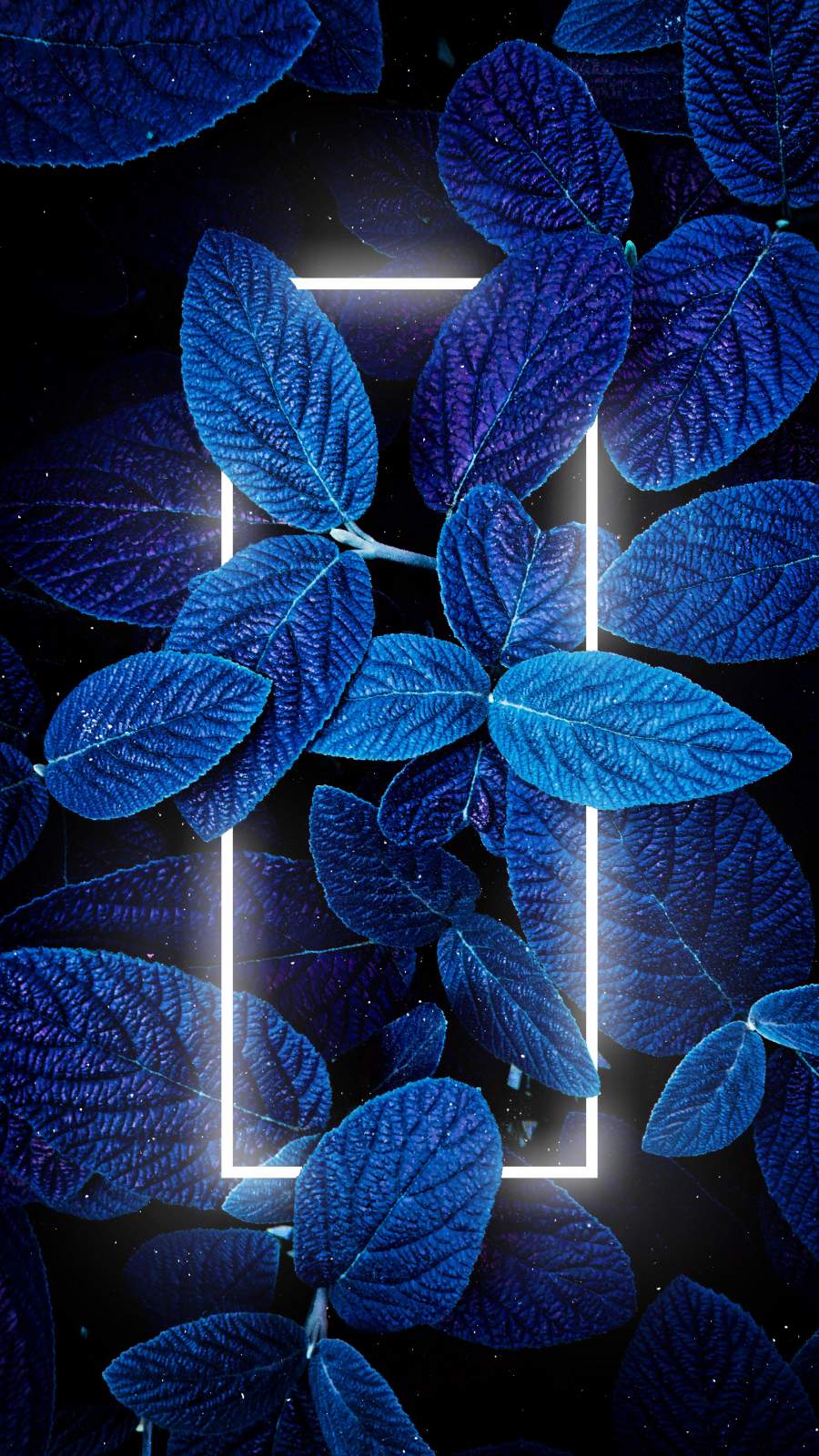 Neon Blue Iphone Wallpapers