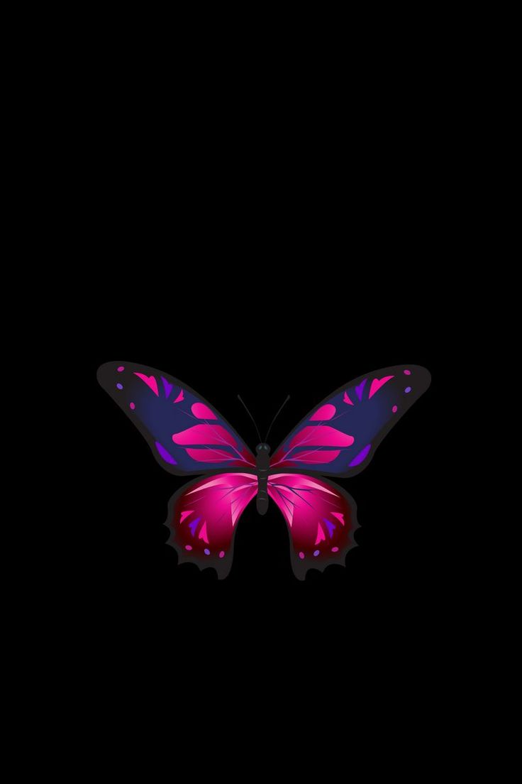 Neon Butterfly Iphone Wallpapers