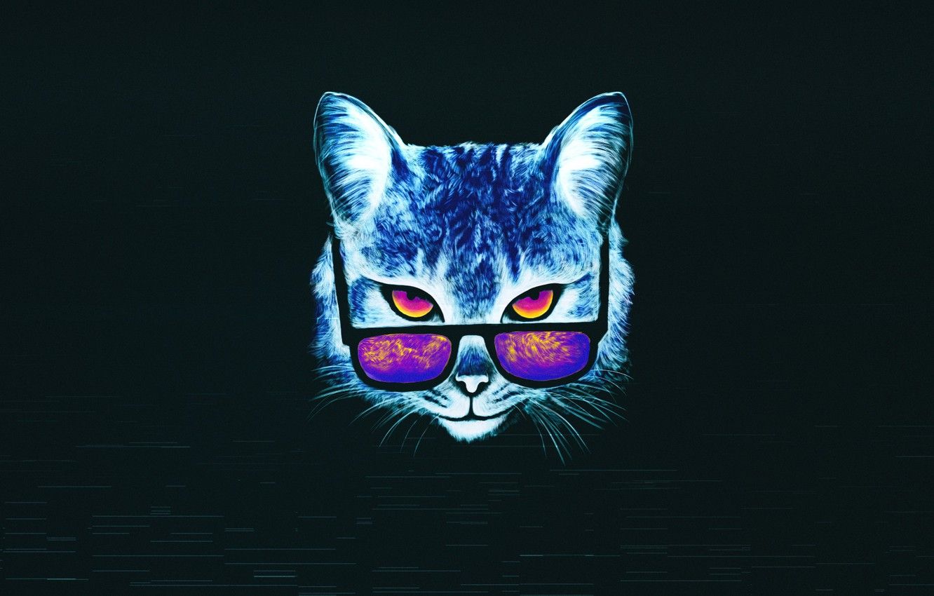 Neon Cat Hd Wallpapers