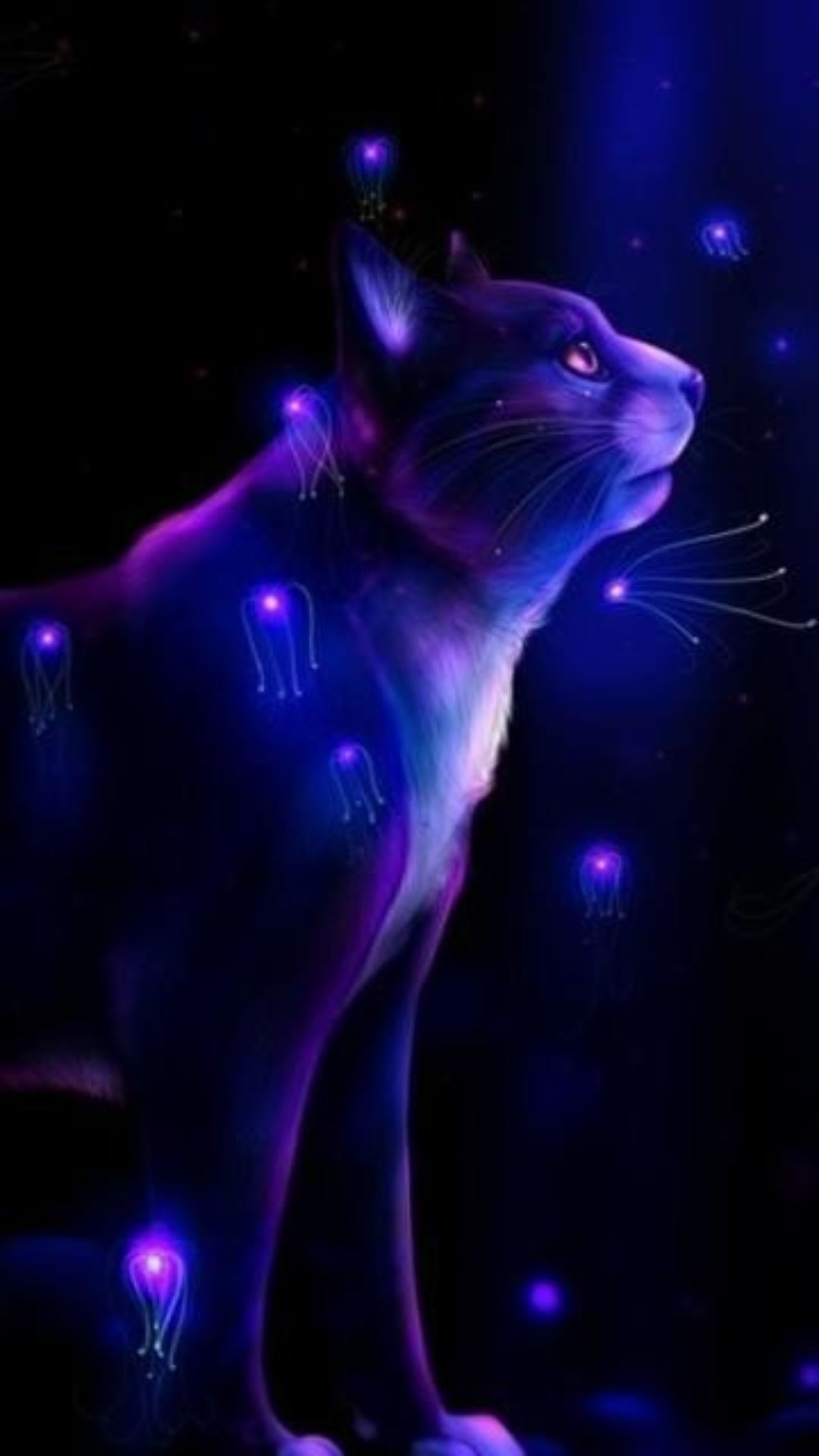 Neon Cat Hd Wallpapers