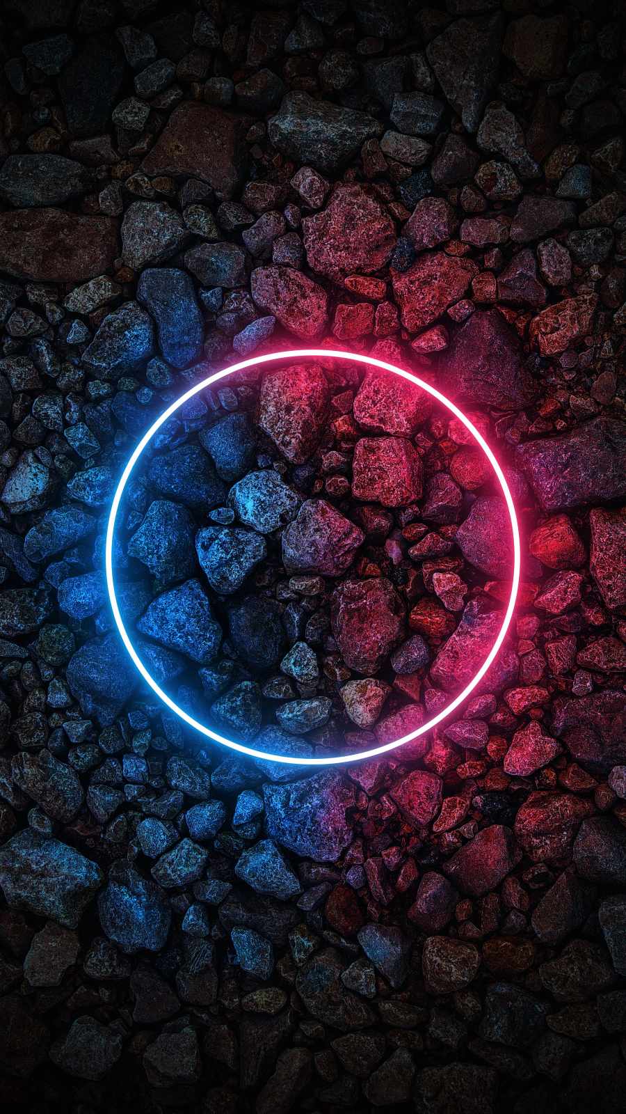 Neon Circle Wallpapers