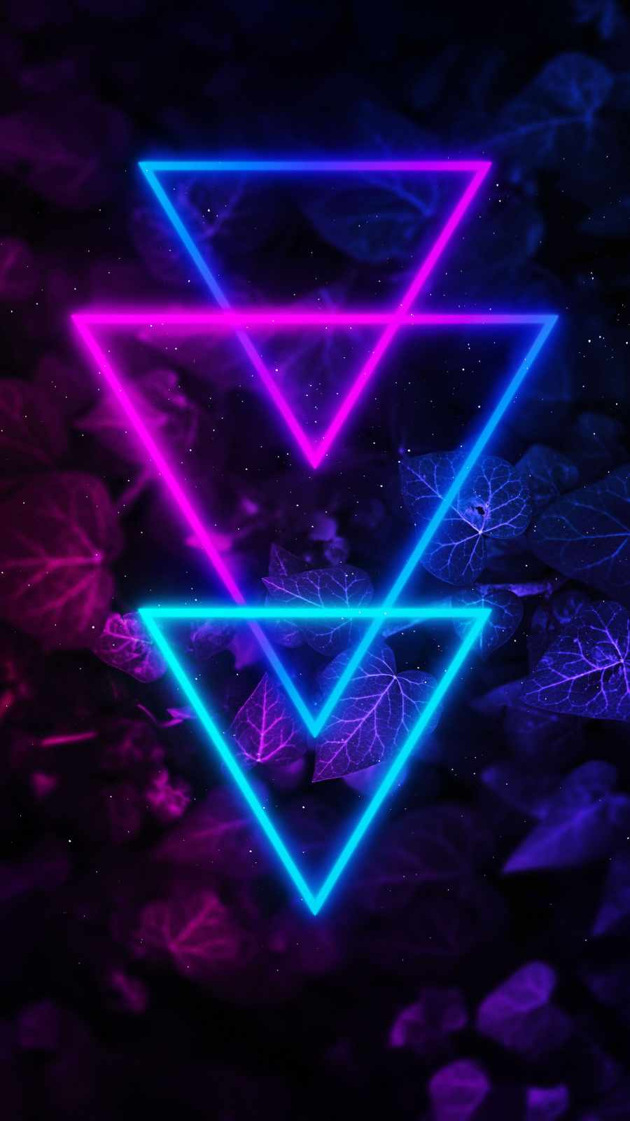 Neon Color Iphone Wallpapers