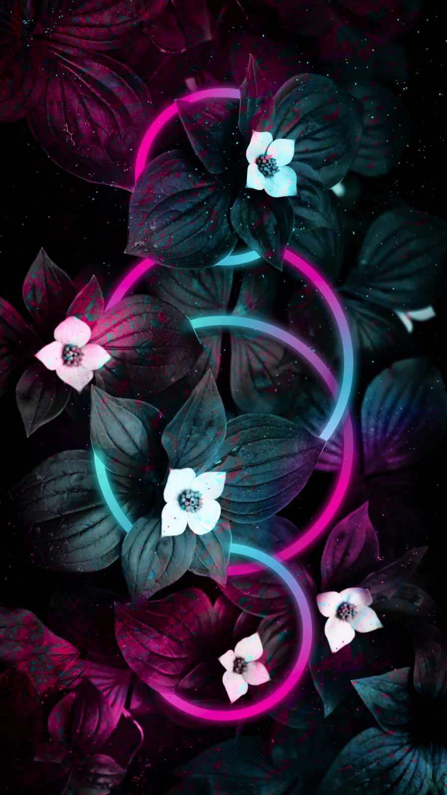 Neon Flowers Wallpapers